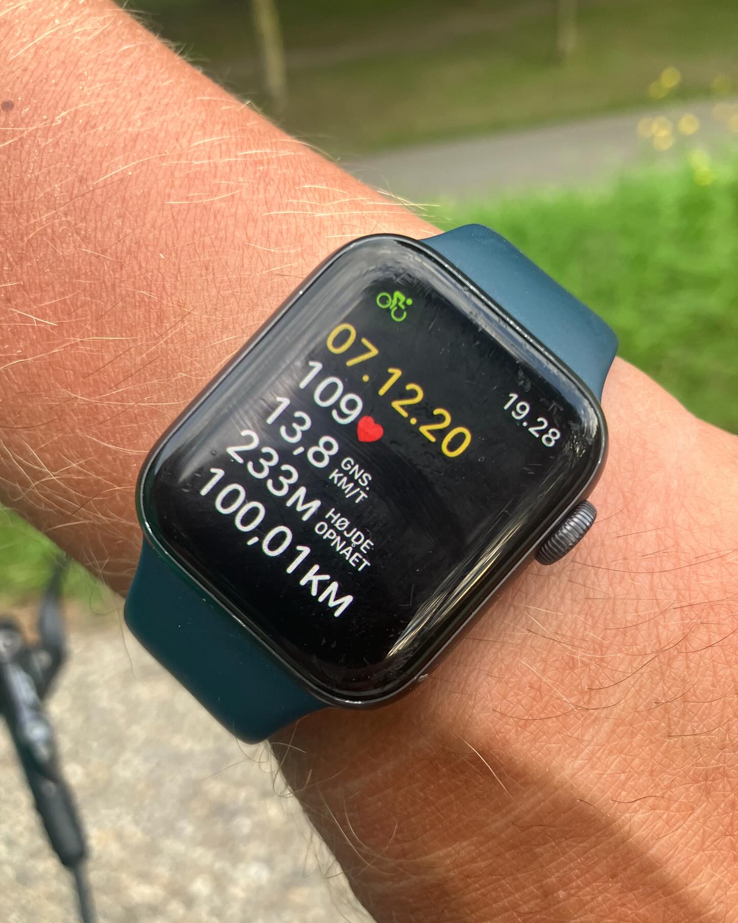 Dag 100 - 18011767310773233.jpg