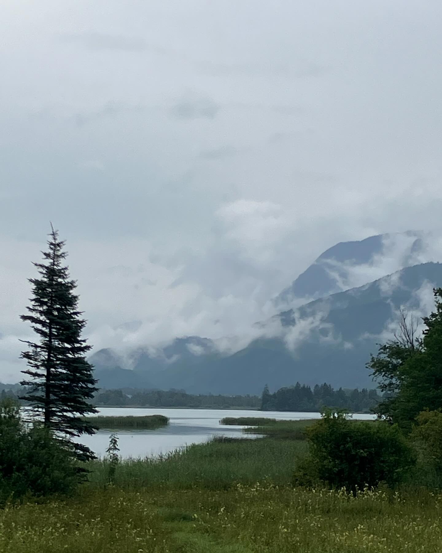 Dag 100 - 18021555452708277.jpg