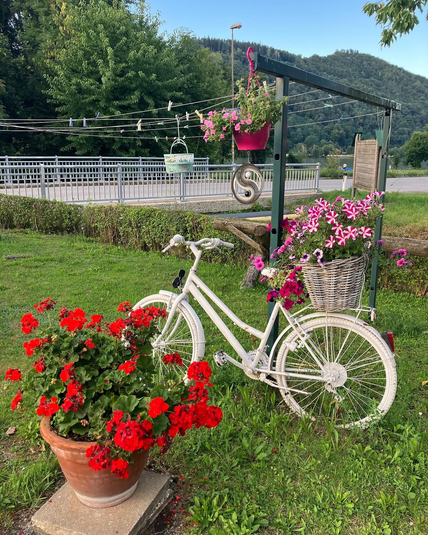 Dag 101 - 17914645548034821.jpg