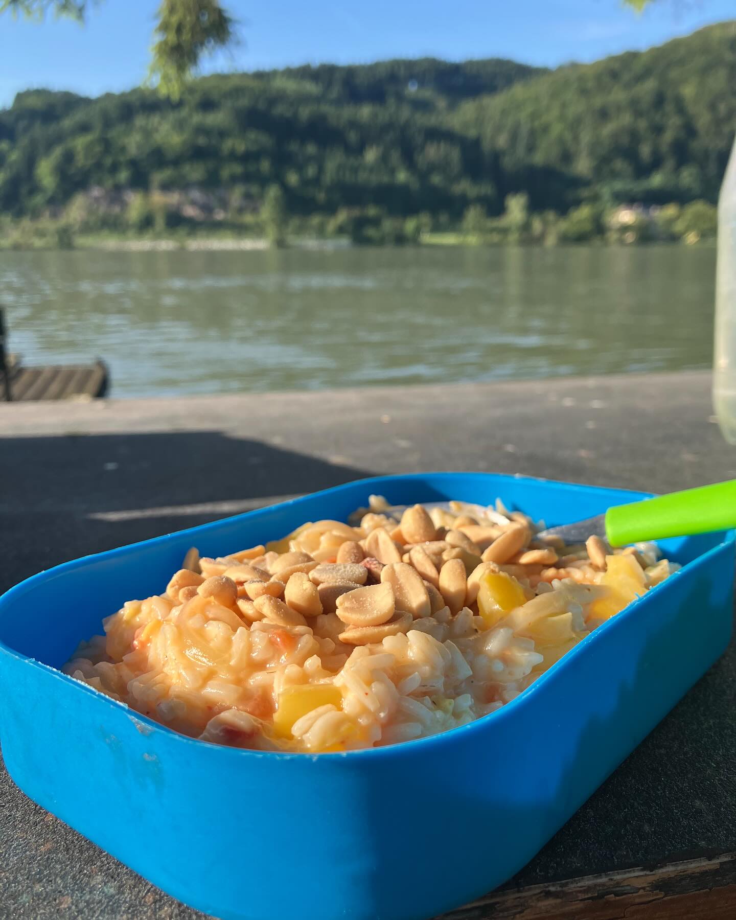 Dag 101 - 18066505745160141.jpg