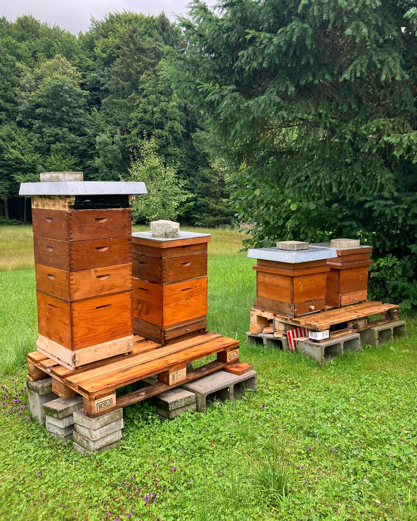 Dag 101 - 18282649447260279.jpg