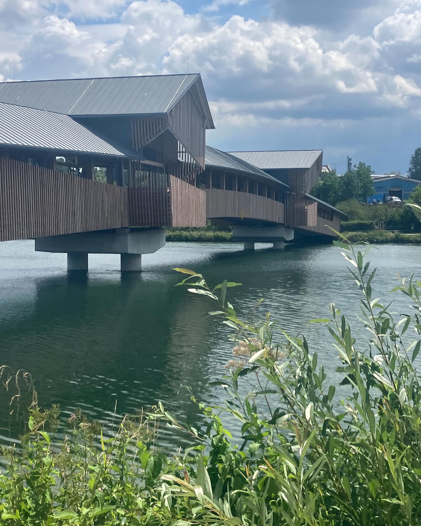 Dag 102 - 18099512629572282.jpg