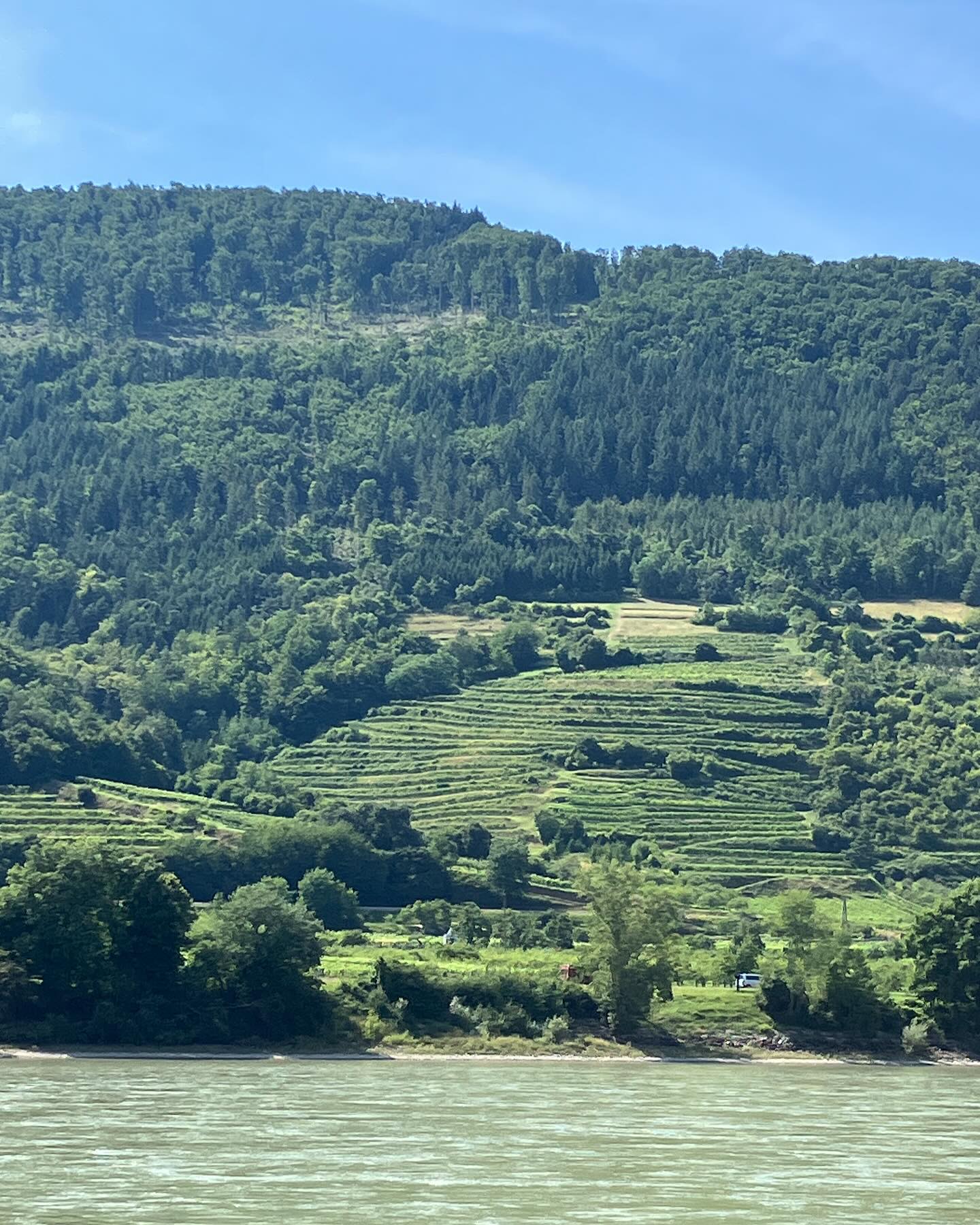 Dag 104 - 18086388970743627.jpg