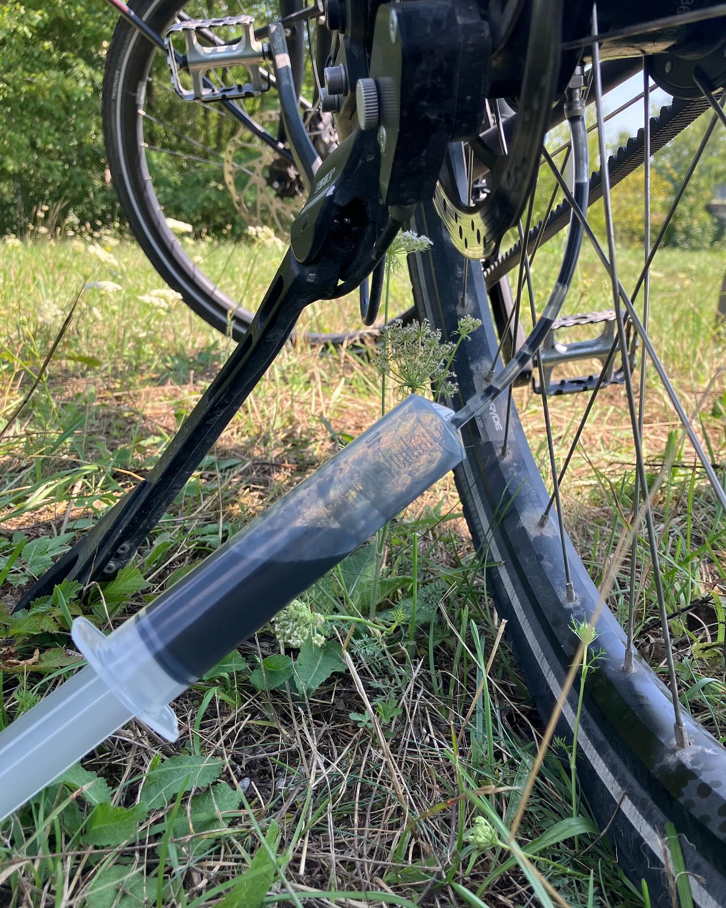 Dag 104 - 18320296717226809.jpg