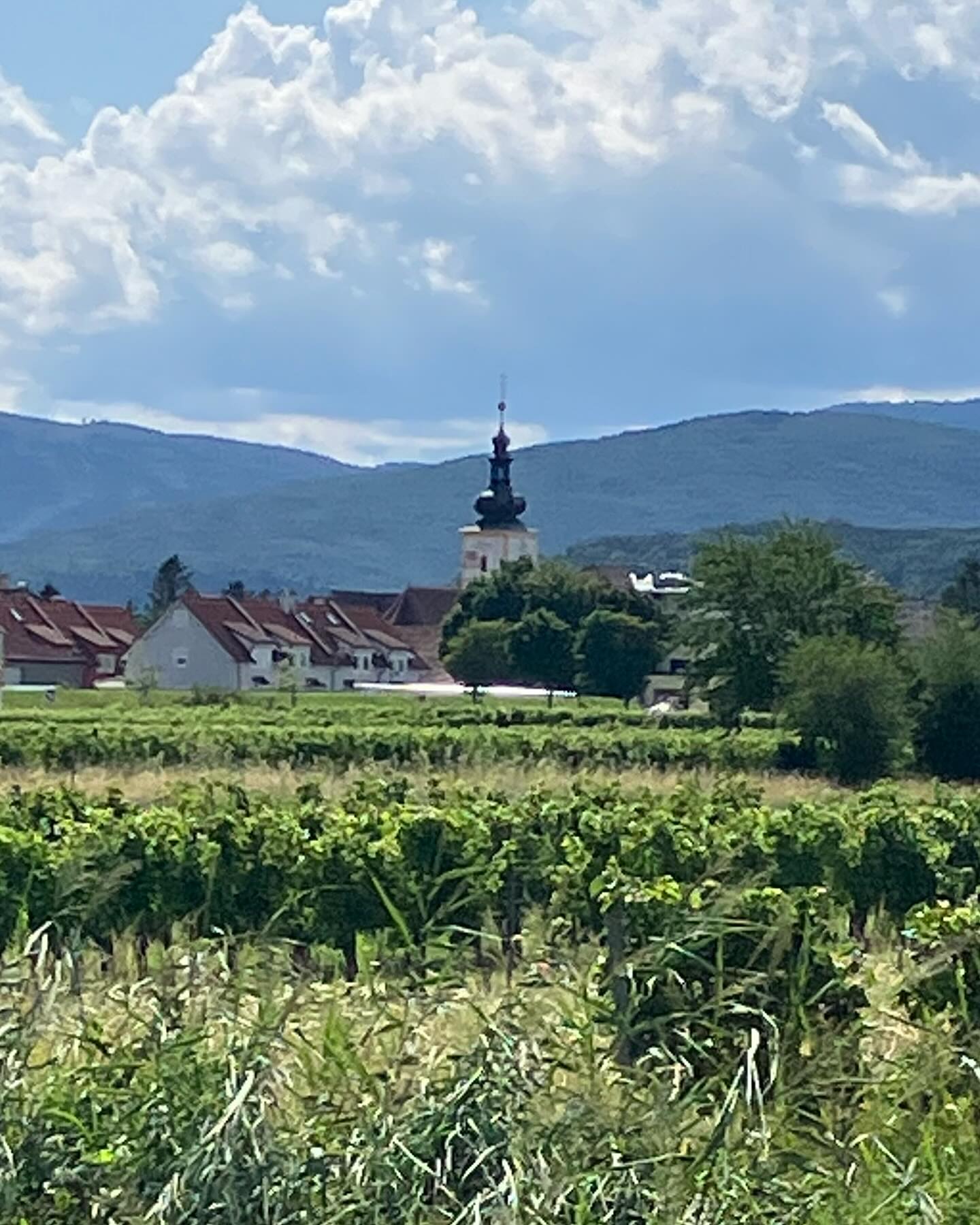 Dag 105 - 17965259717927460.jpg