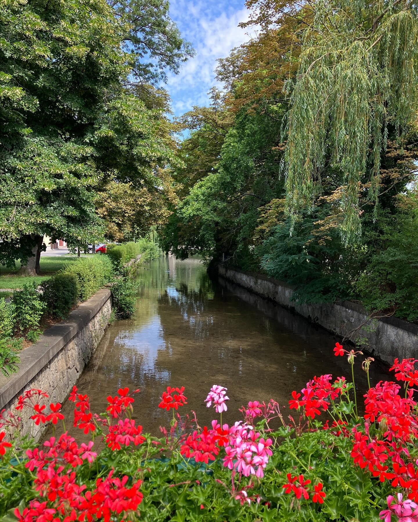 Dag 105 - 18070299470041487.jpg