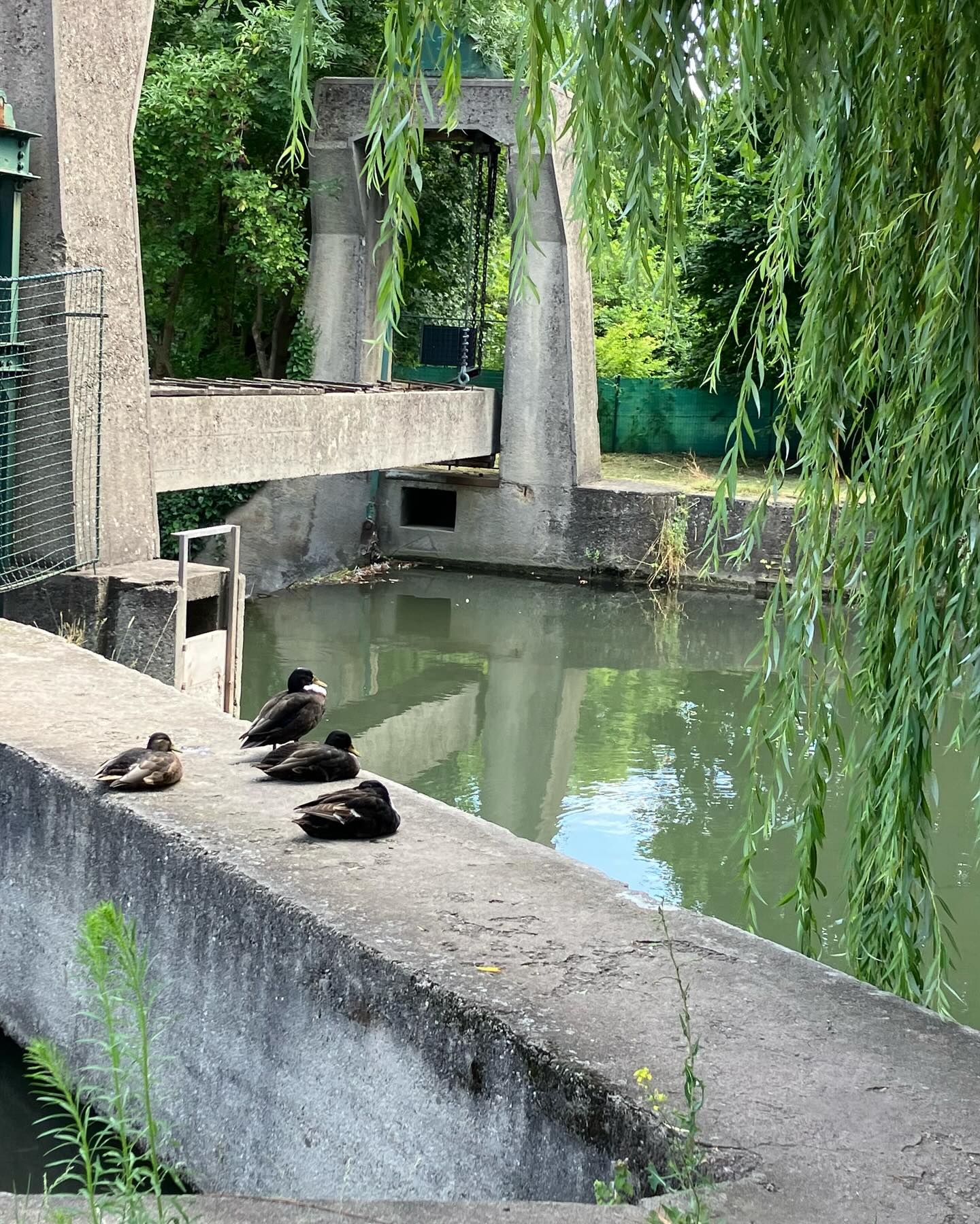 Dag 105 - 18314388676215301.jpg