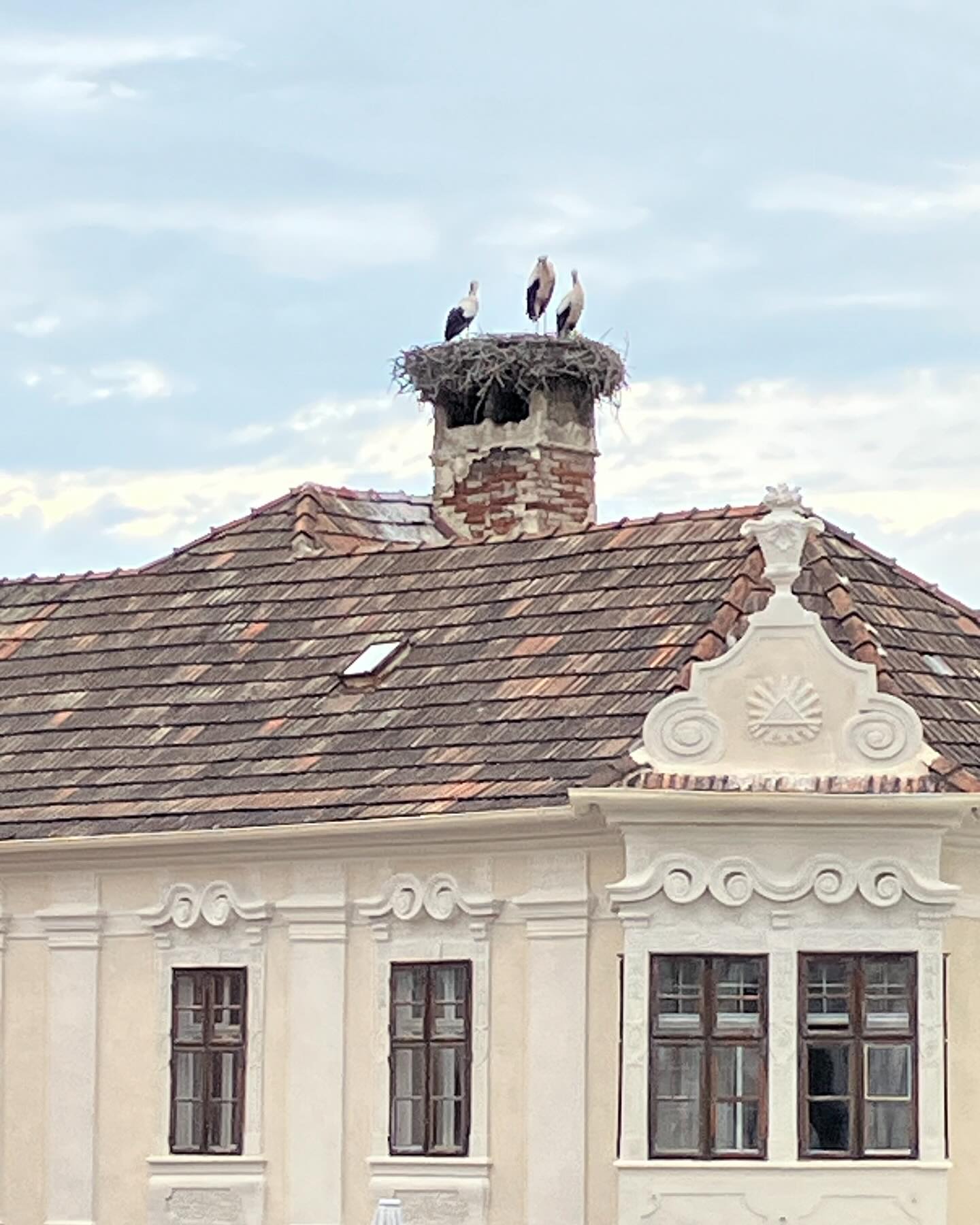 Dag 107 - 17986481501836120.jpg