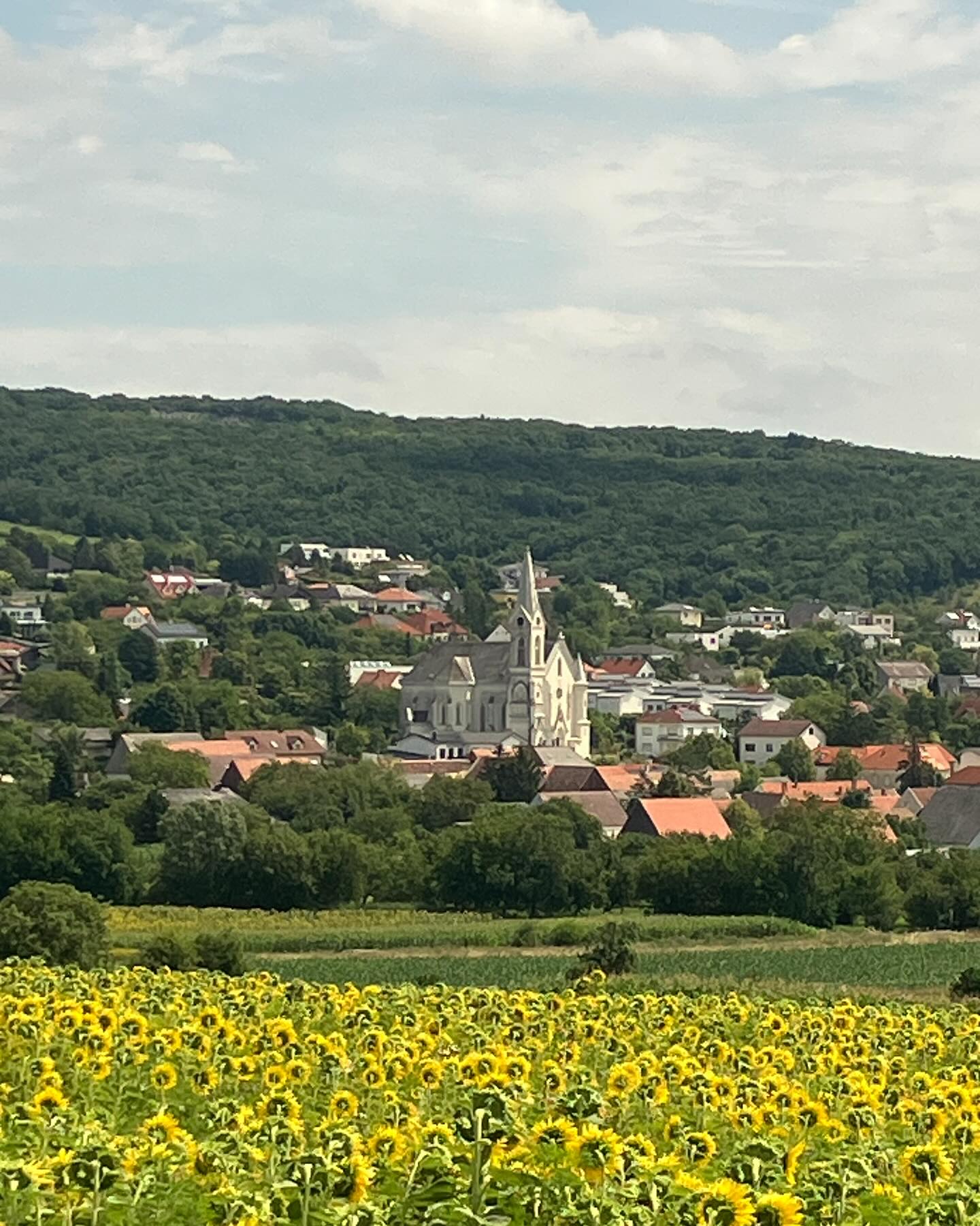 Dag 107 - 18052928348611066.jpg