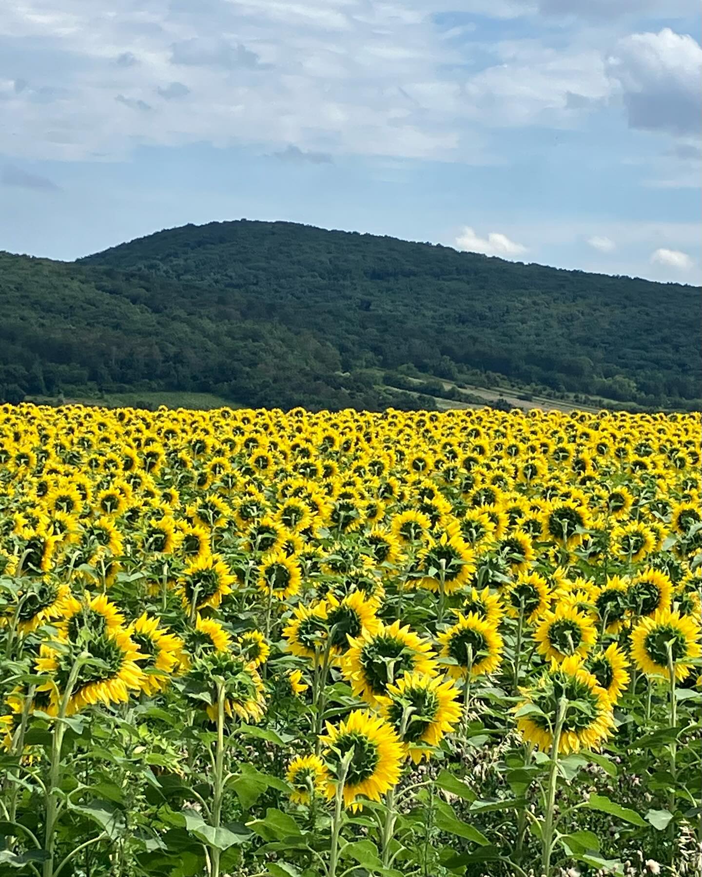 Dag 107 - 18113473468498102.jpg