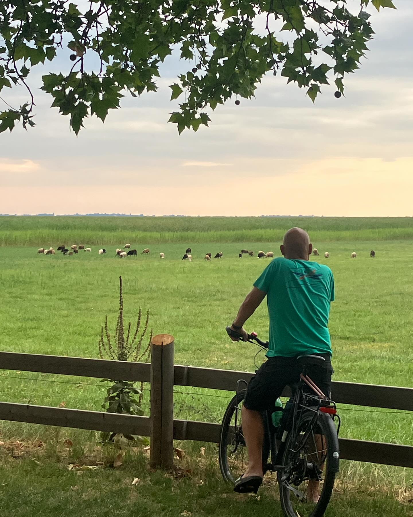 Dag 107 - 18288373264264833.jpg