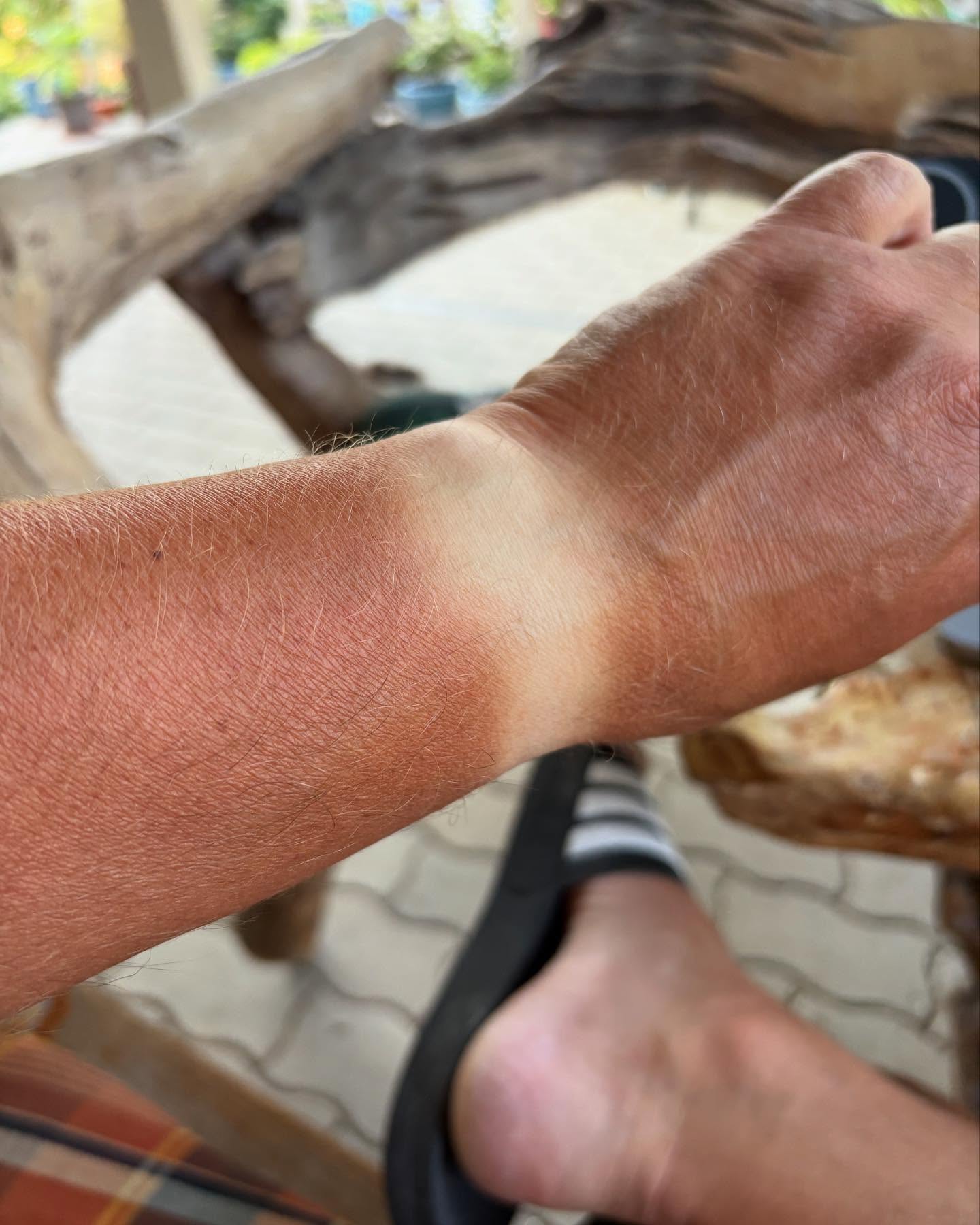 Dag 108 - 17862576957441743.jpg