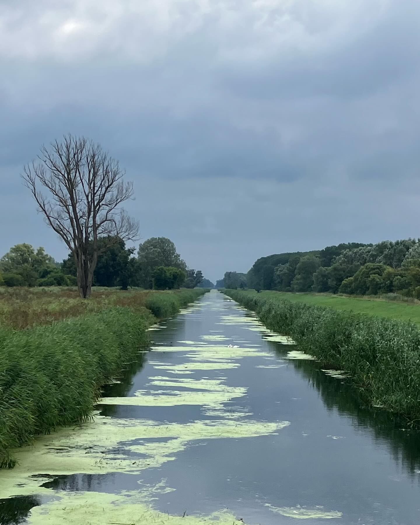 Dag 109 - 17974373201868563.jpg