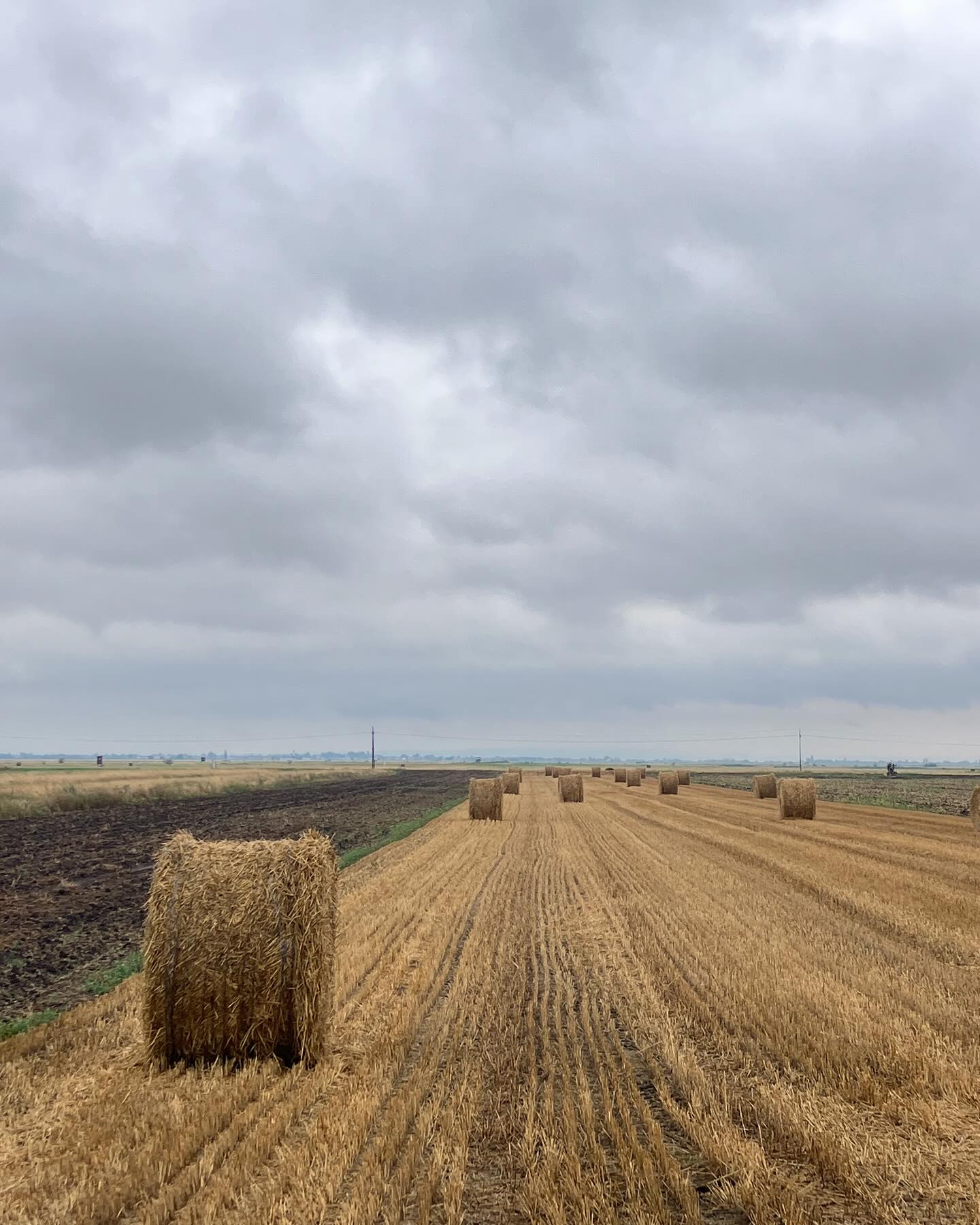 Dag 110 - 17907602700198330.jpg