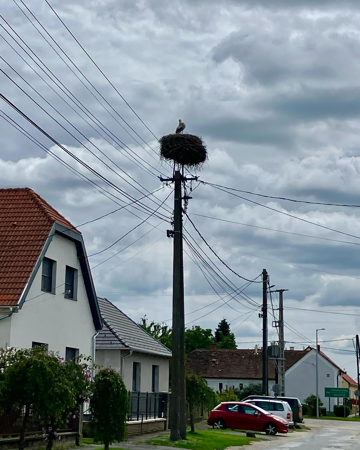 Dag 110 - 18075025952502425.jpg