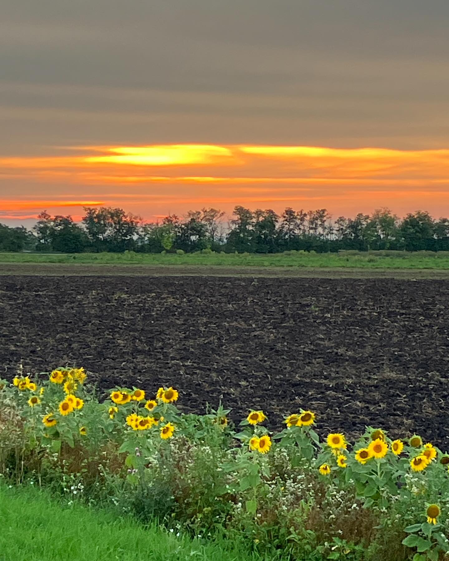 Dag 110 - 18180018718328498.jpg