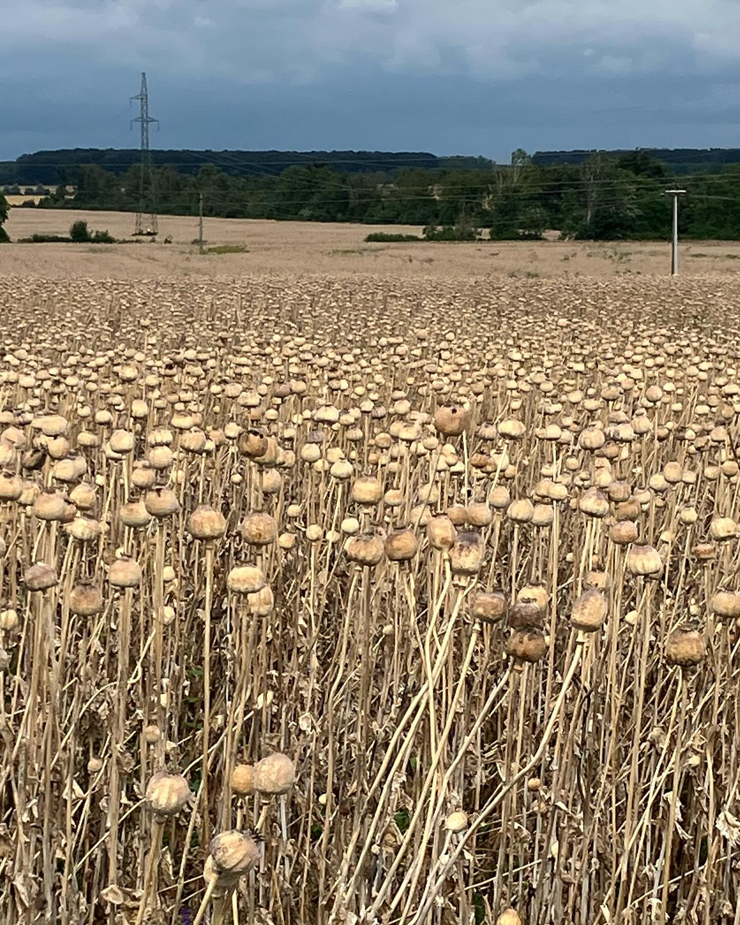 Dag 111 - 18037770065403510.jpg