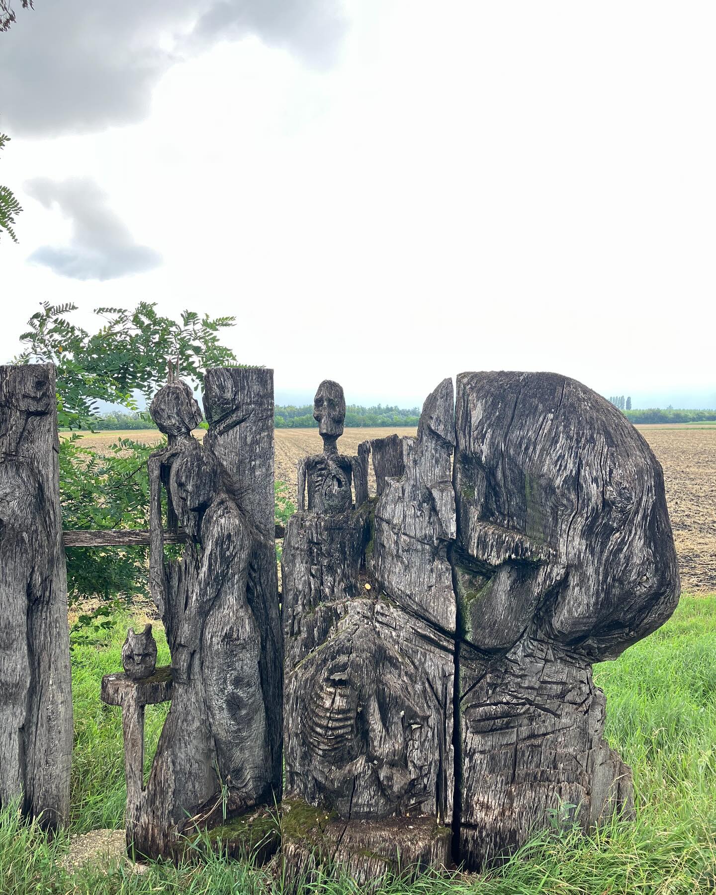 Dag 111 - 18048829139235830.jpg