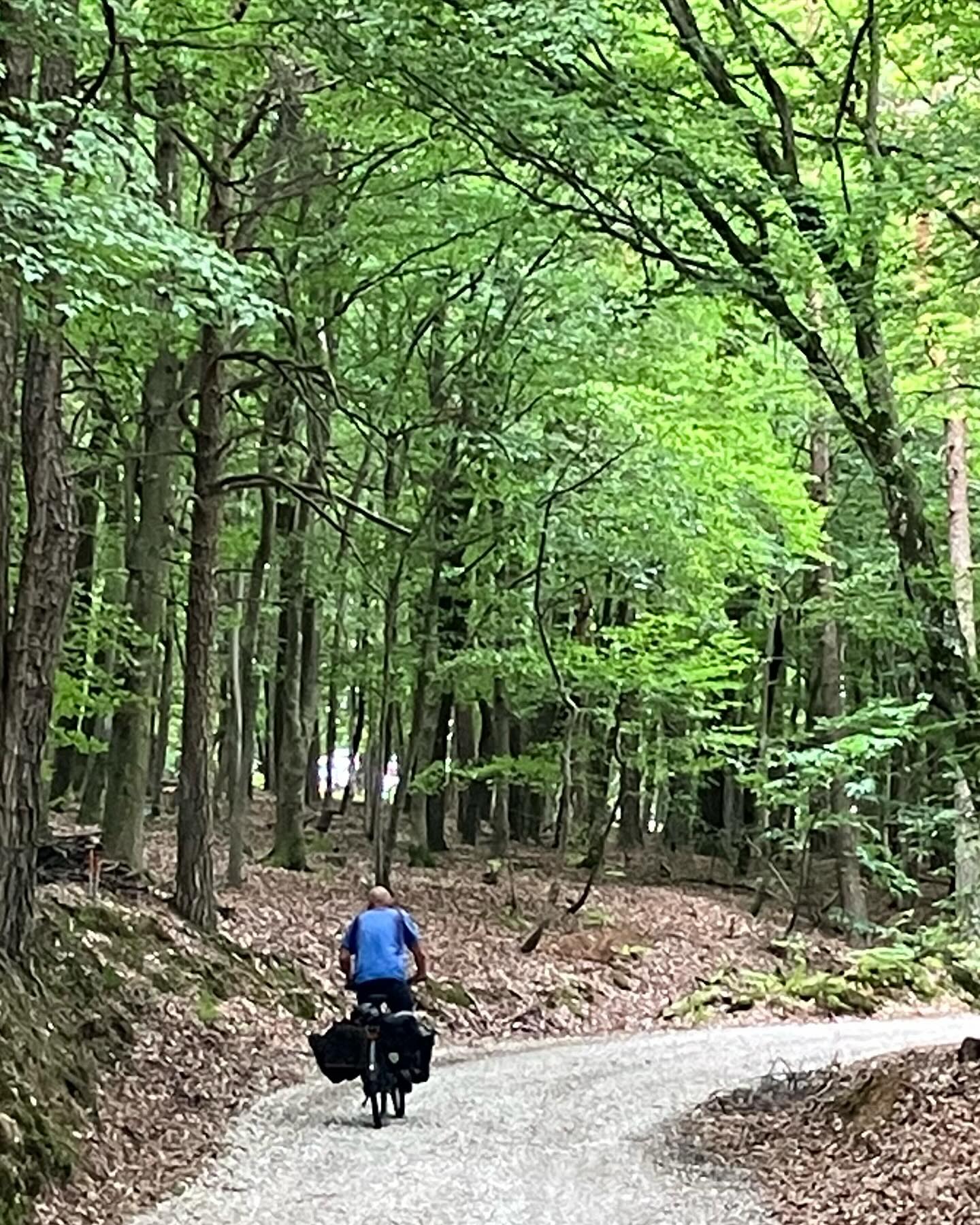 Dag 111 - 18049377785531374.jpg