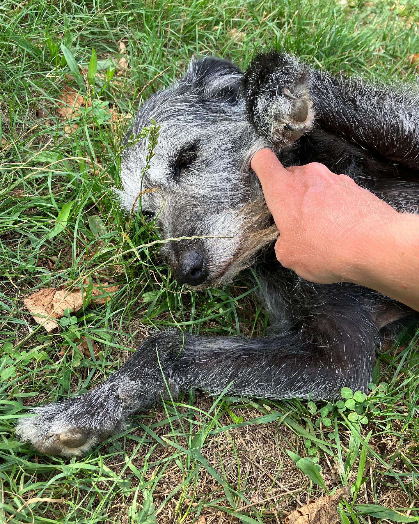 Dag 112 - 18064366937336400.jpg