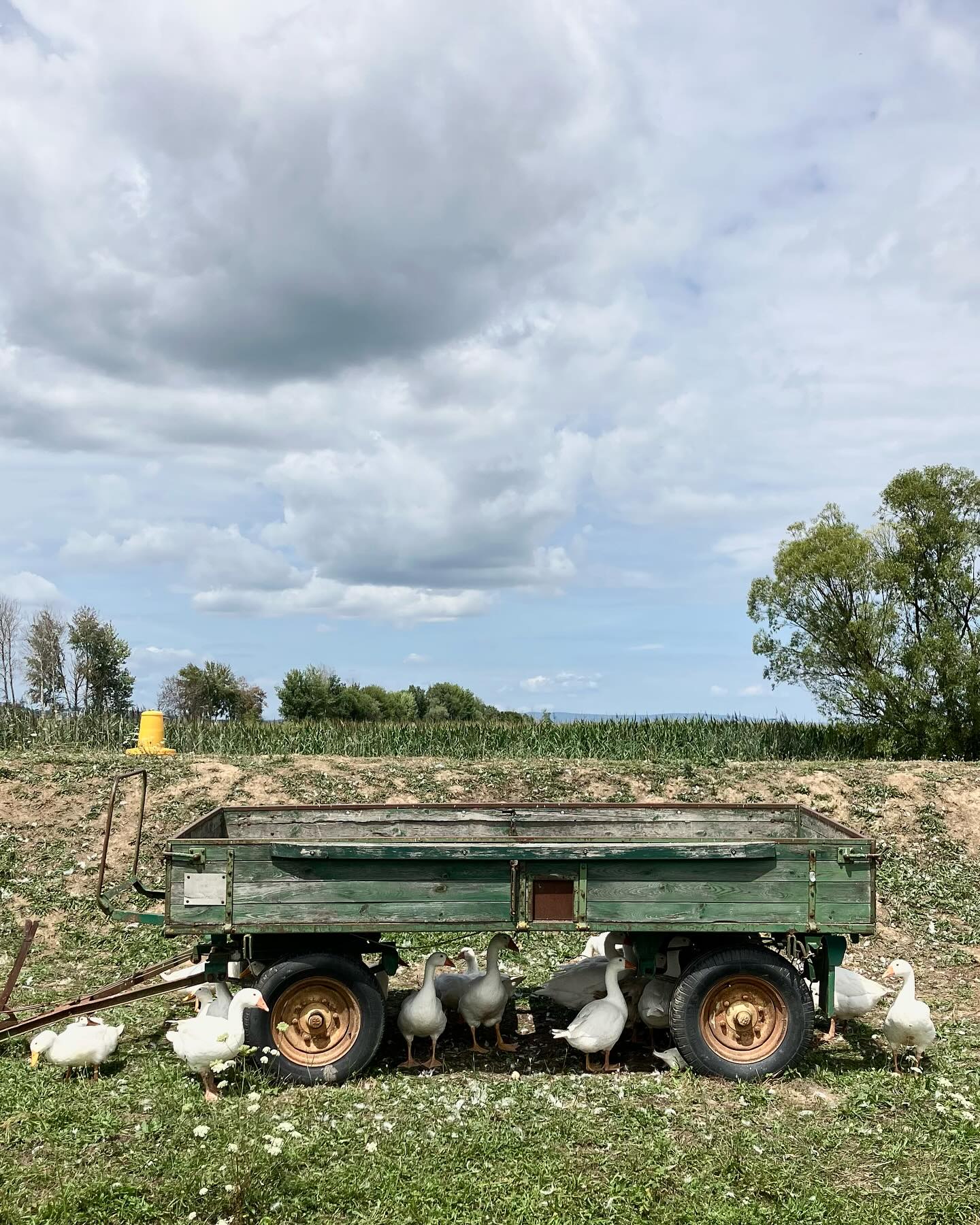 Dag 112 - 18071436817856520.jpg