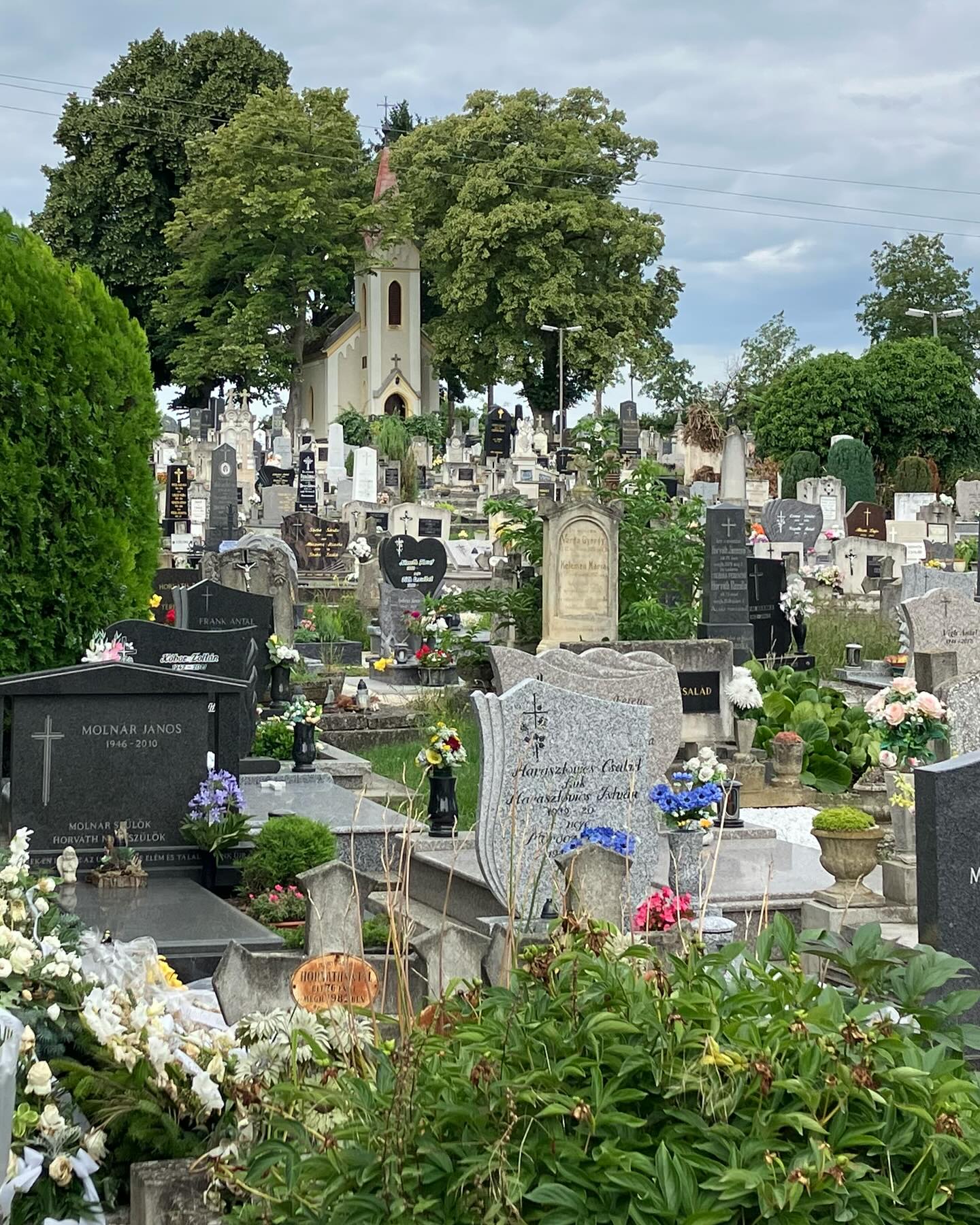 Dag 112 - 18072251861080449.jpg