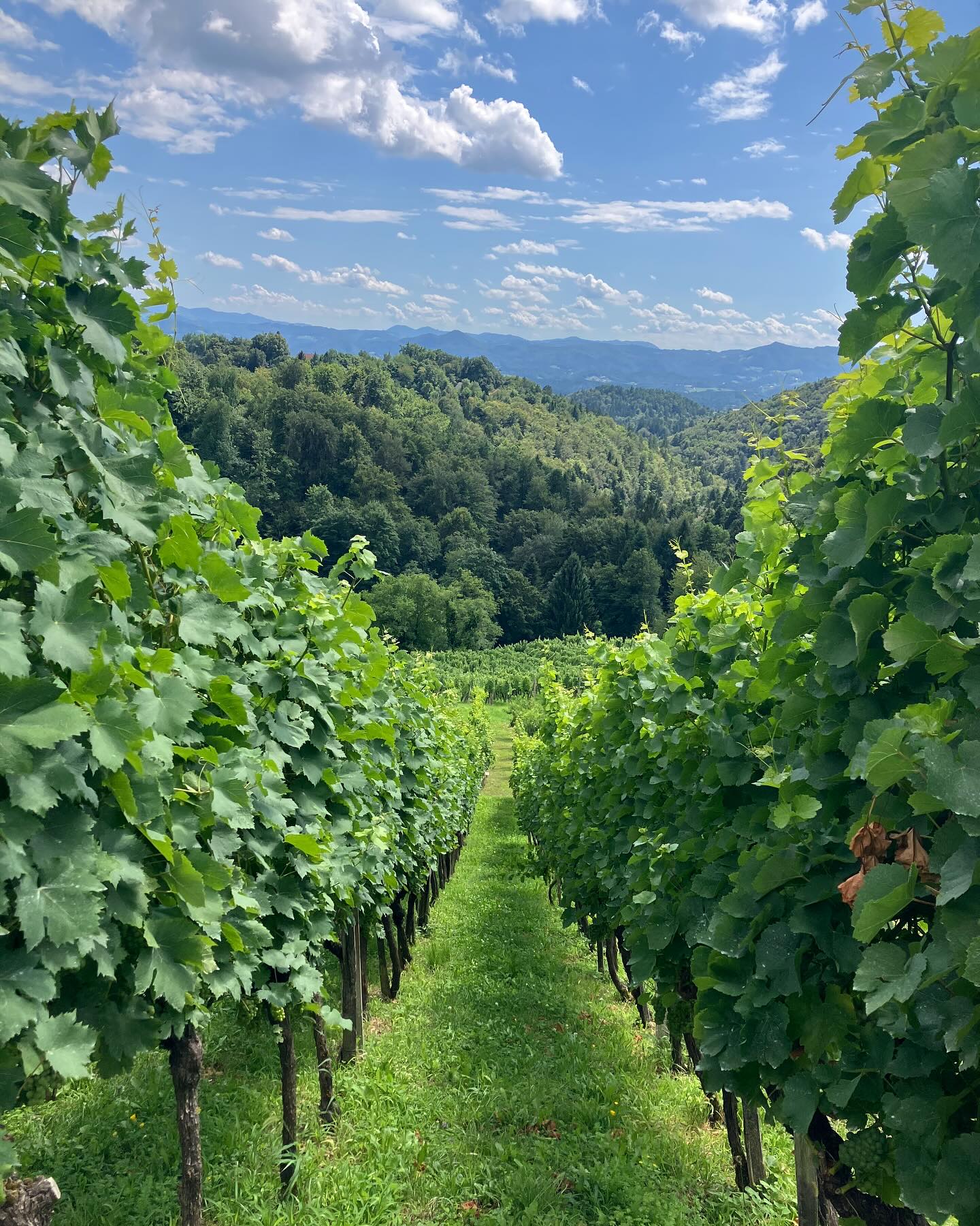 Dag 113 - 18034326572468331.jpg