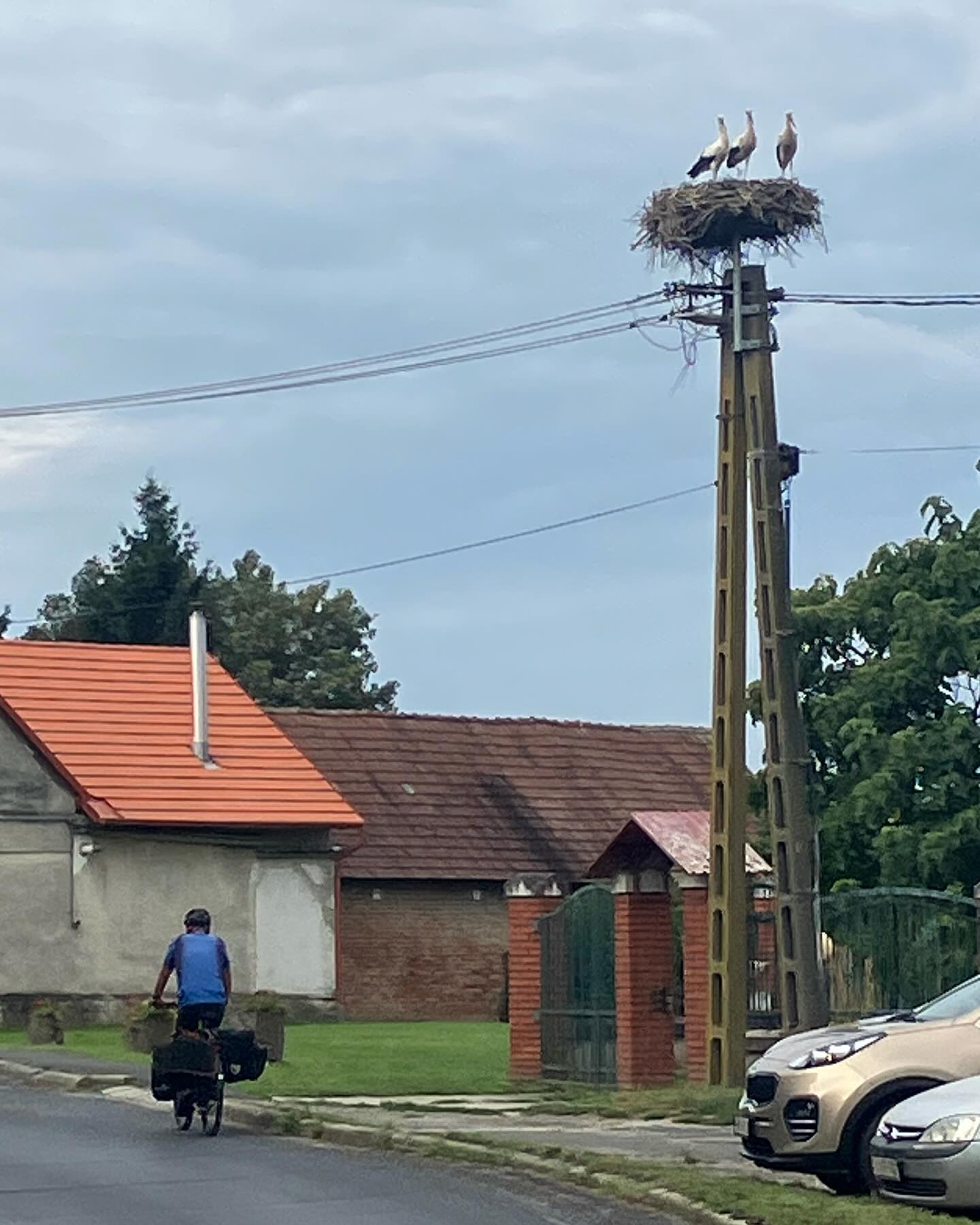 Dag 113 - 18062783297190101.jpg