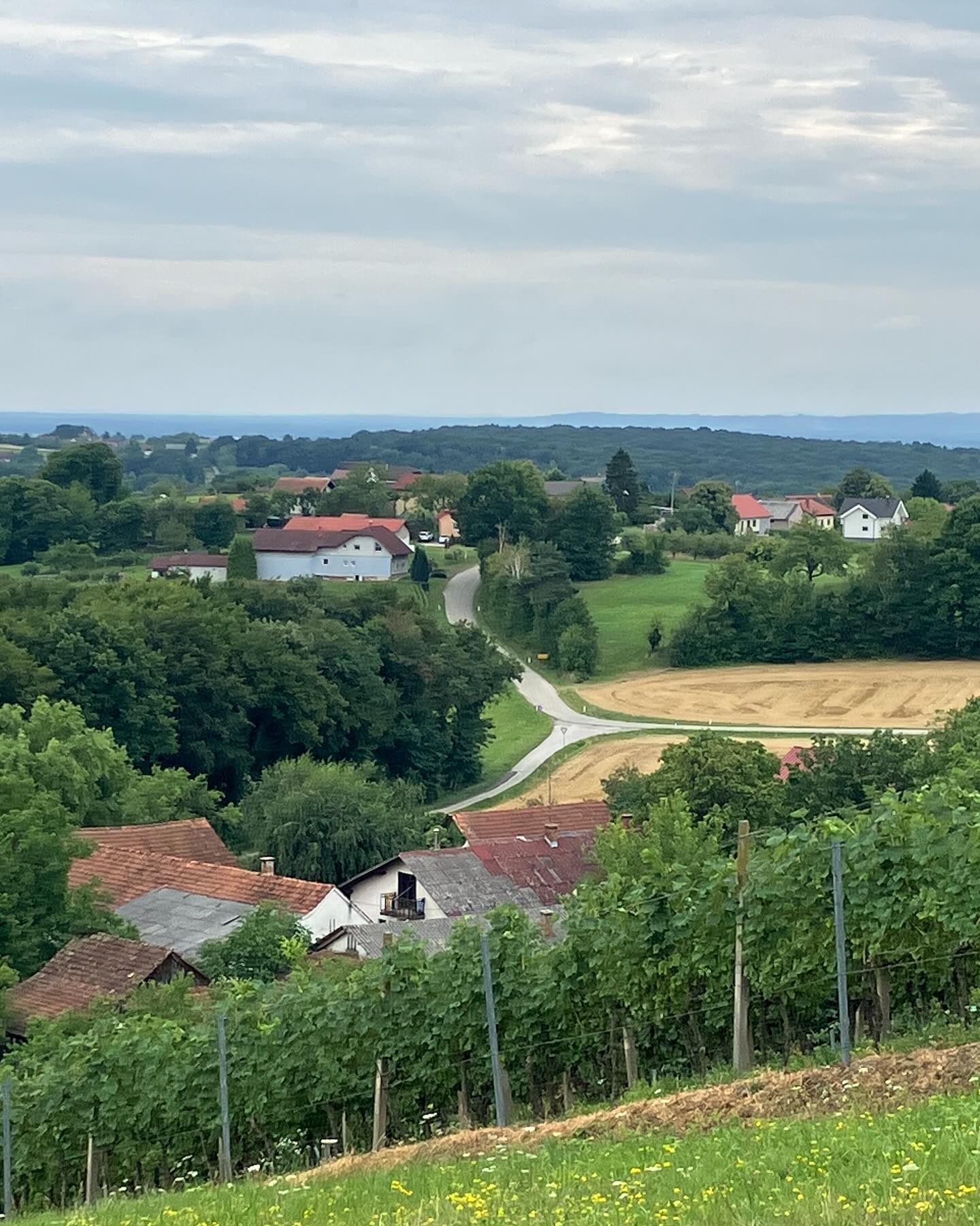 Dag 113 - 18067782818137241.jpg