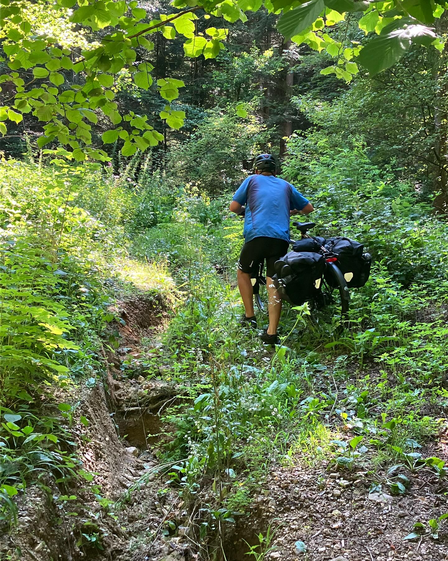 Dag 113 - 18168891004358816.jpg