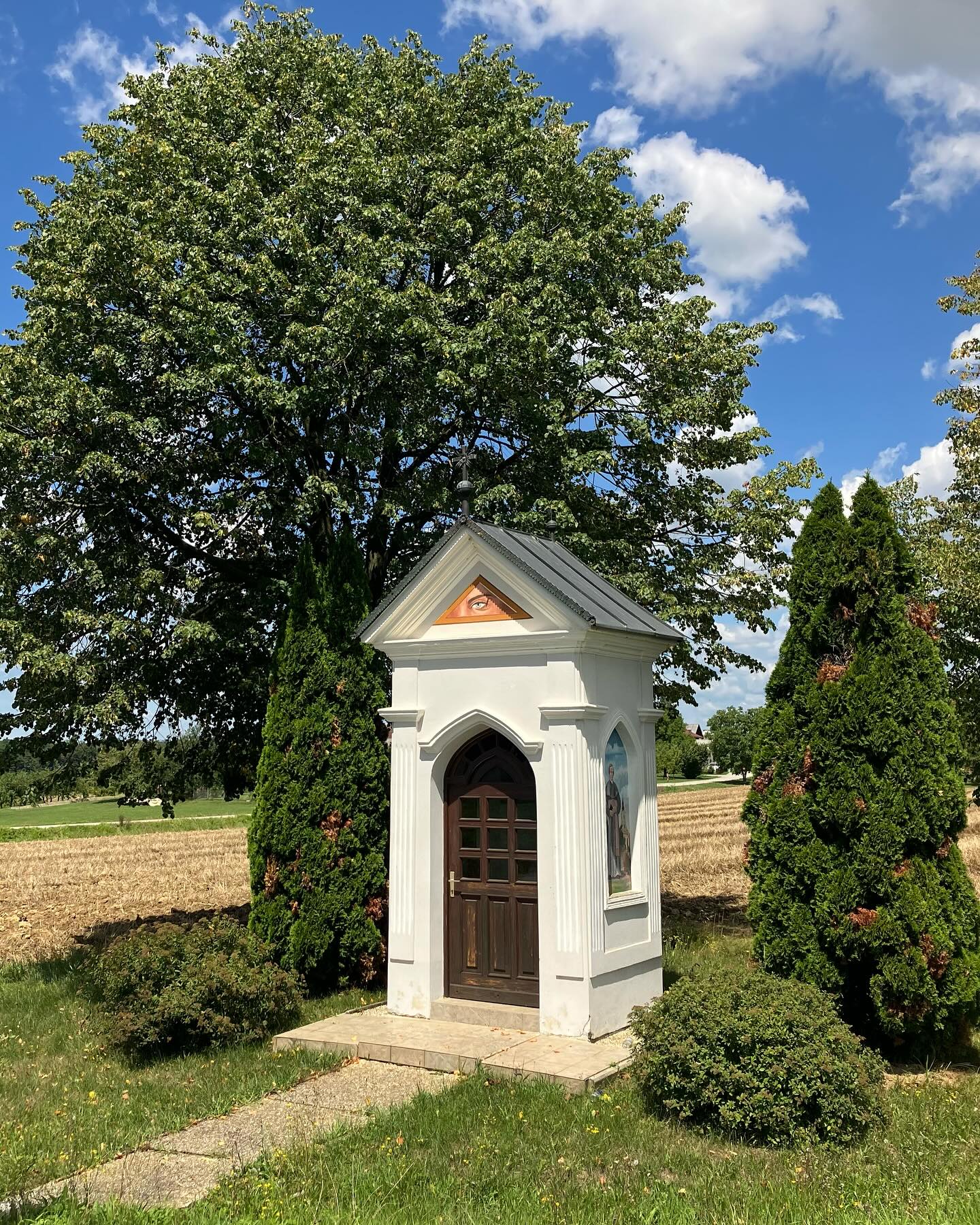 Dag 114 - 18122298202467605.jpg