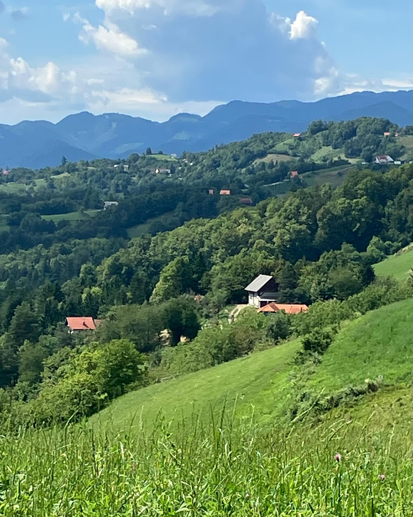 Dag 115 - 17908299300195885.jpg