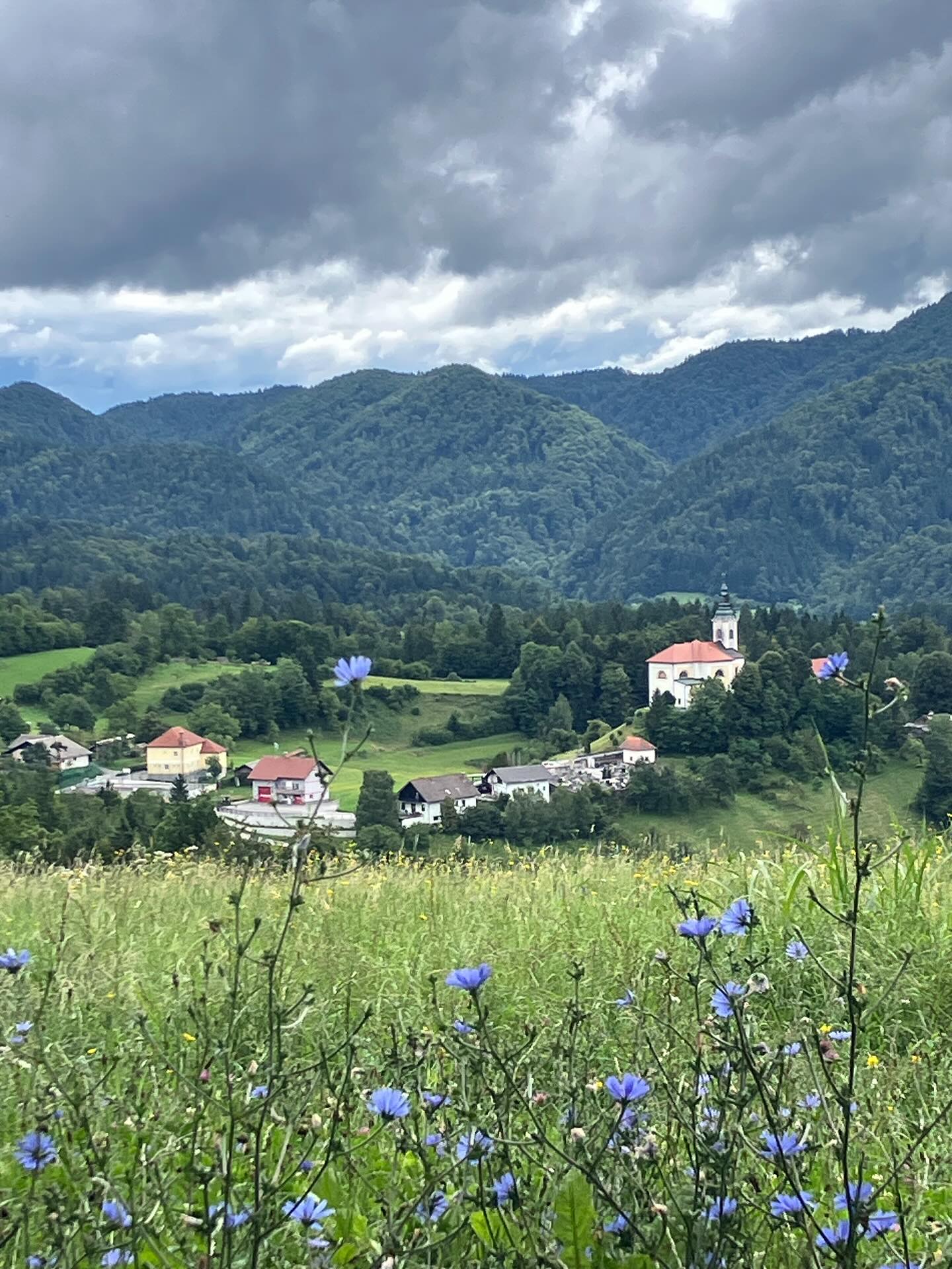 Dag 116 - 17845589124540303.jpg