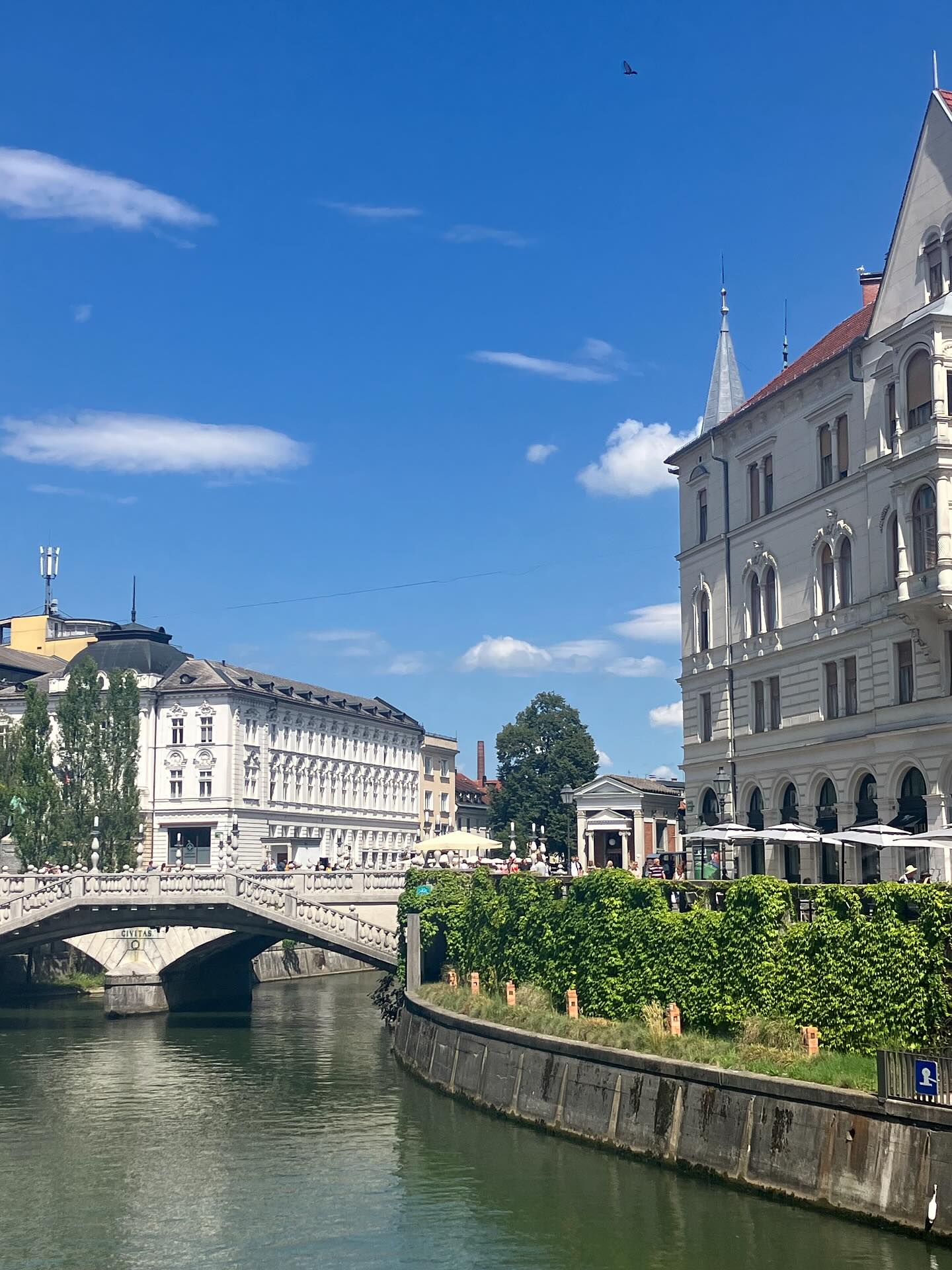 Dag 116 - 18401391697118499.jpg