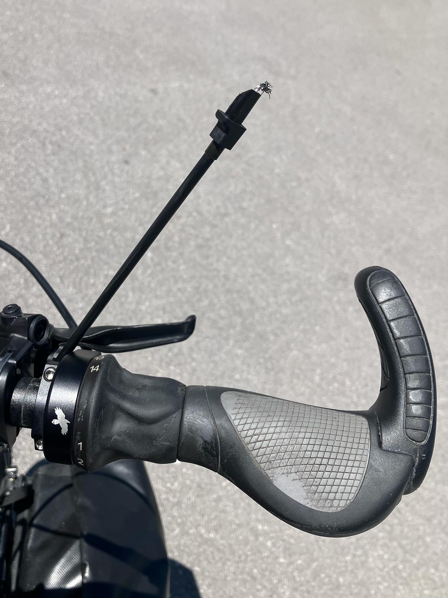 Dag 117 - 18107259286536677.jpg