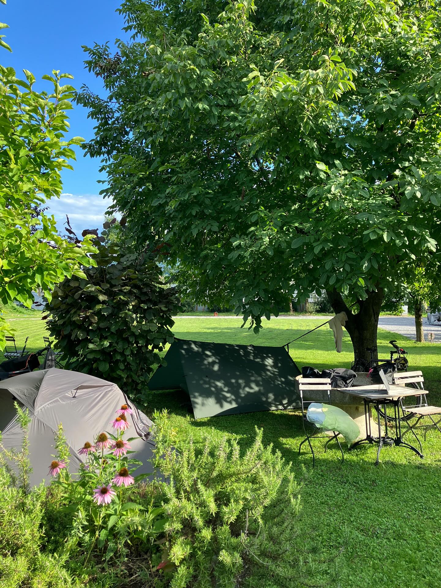 Dag 118 - 17939569592917999.jpg