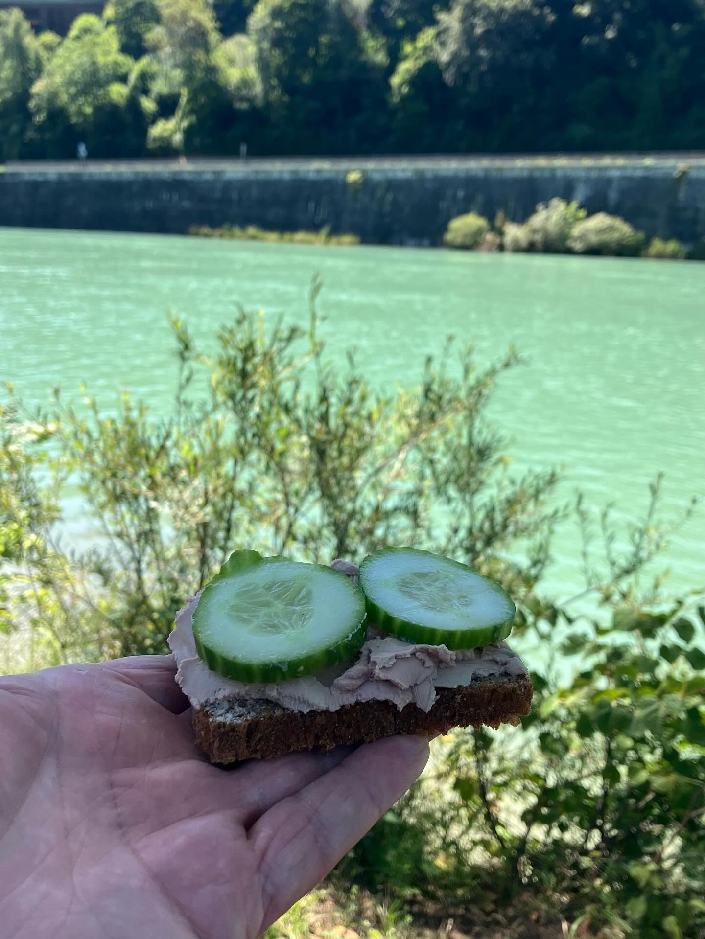 Dag 118 - 17972319308869176.jpg