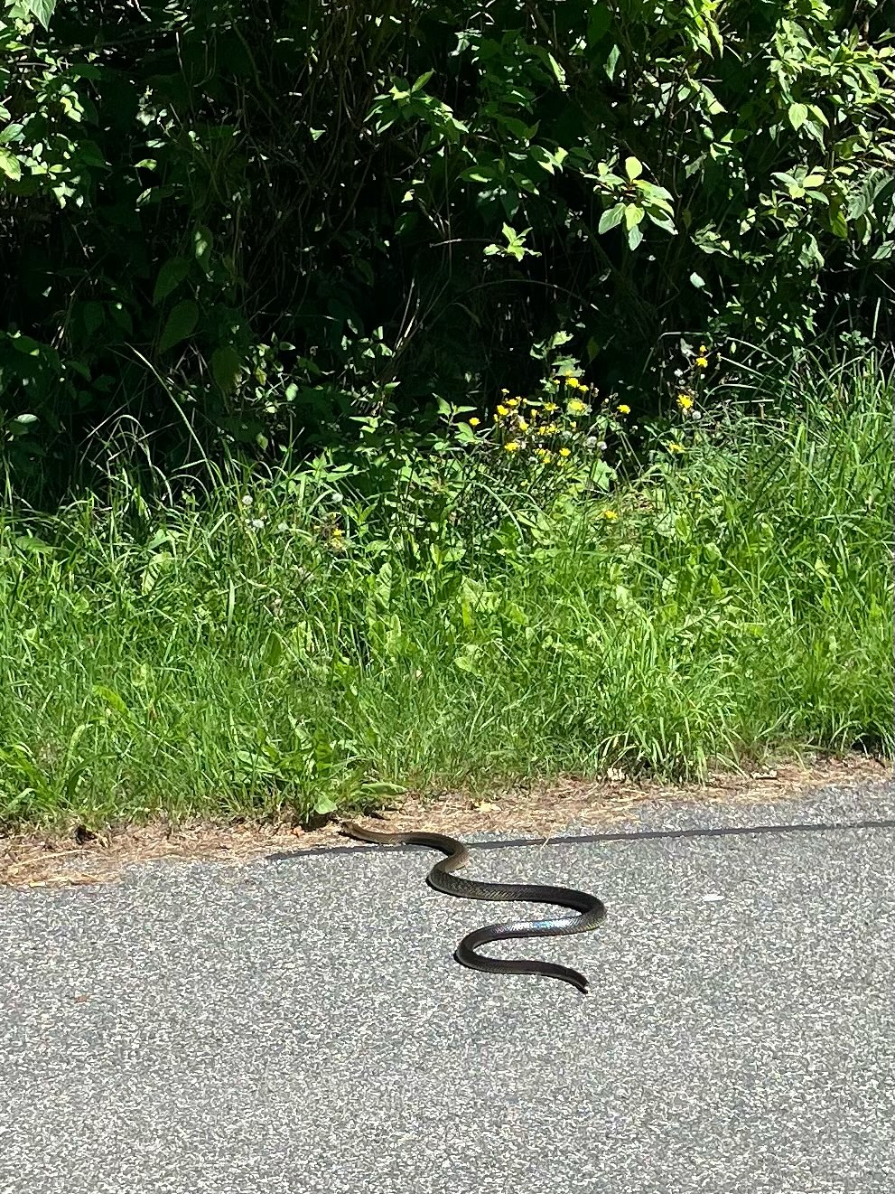 Dag 118 - 18068410904175875.jpg