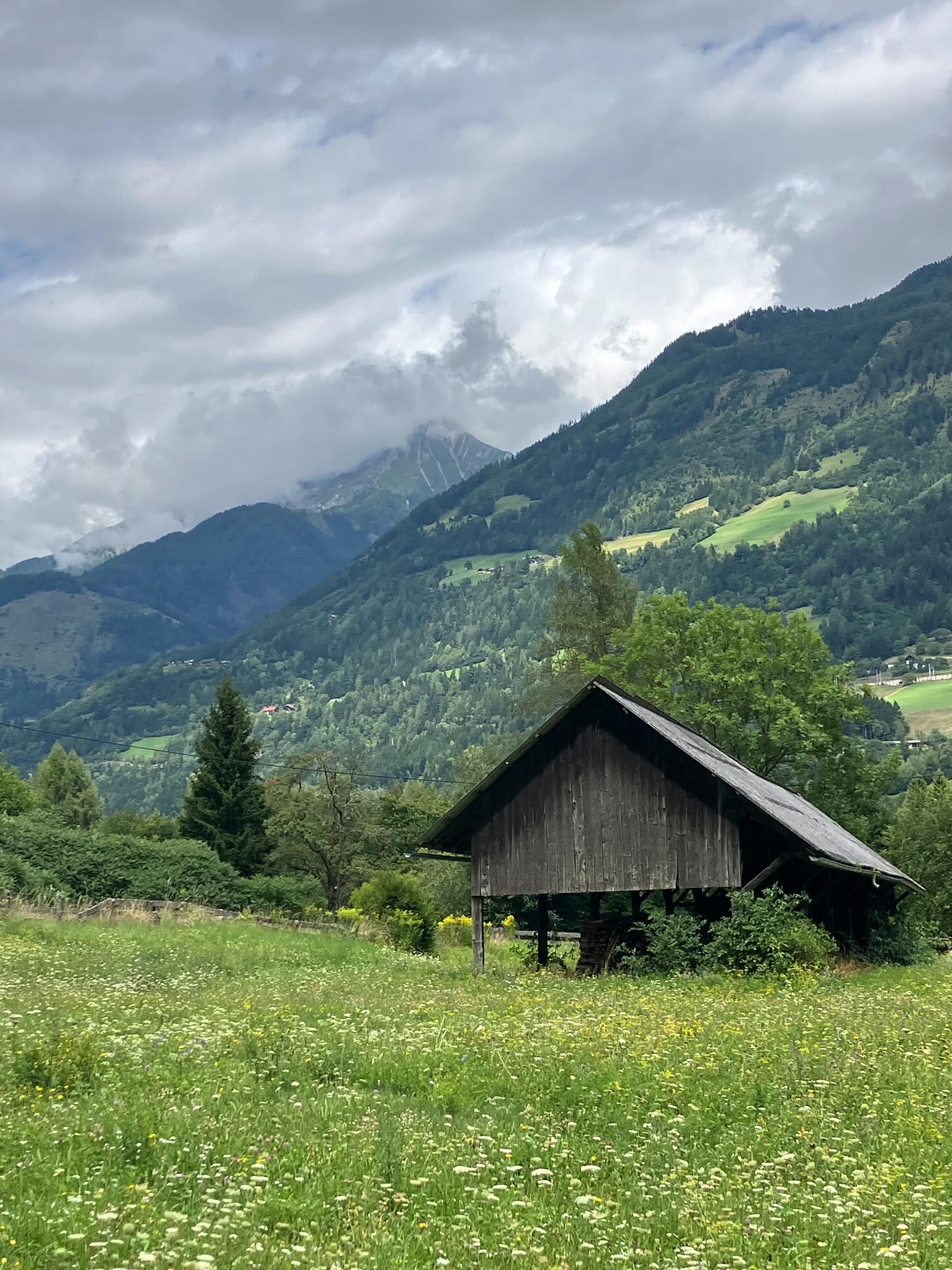 Dag 119 - 17845797699526389.jpg