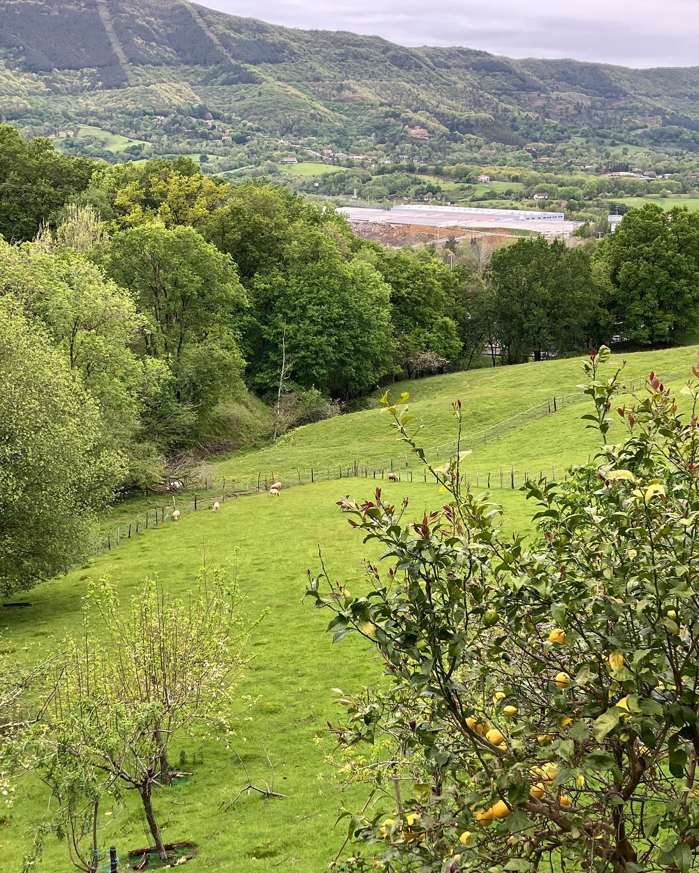 Dag 12 - 18347971291155159.jpg