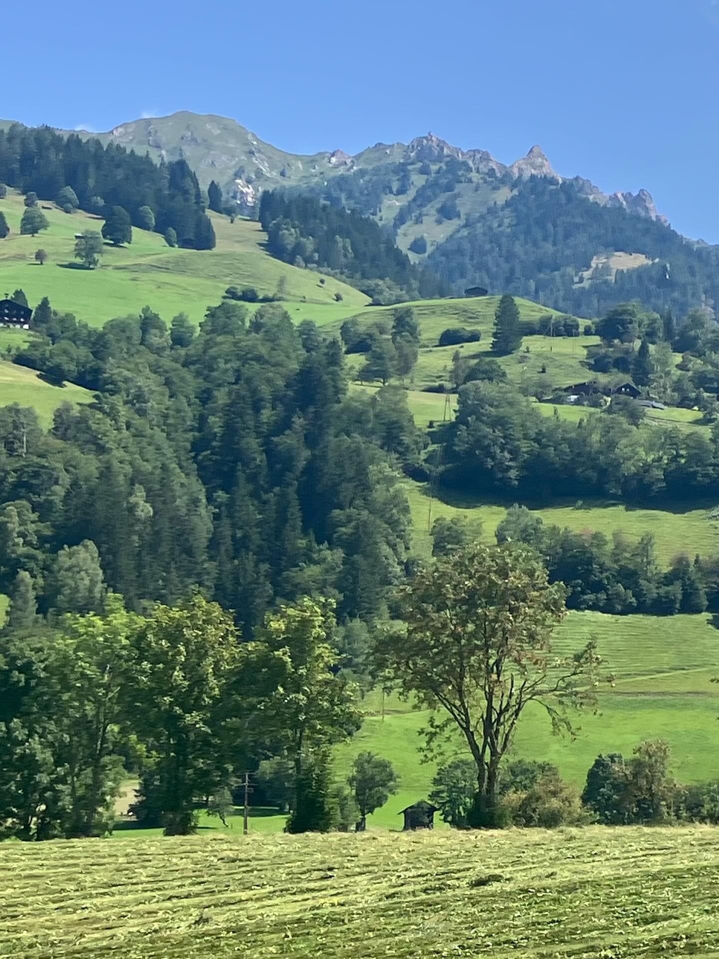 Dag 120 - 18029618321505973.jpg