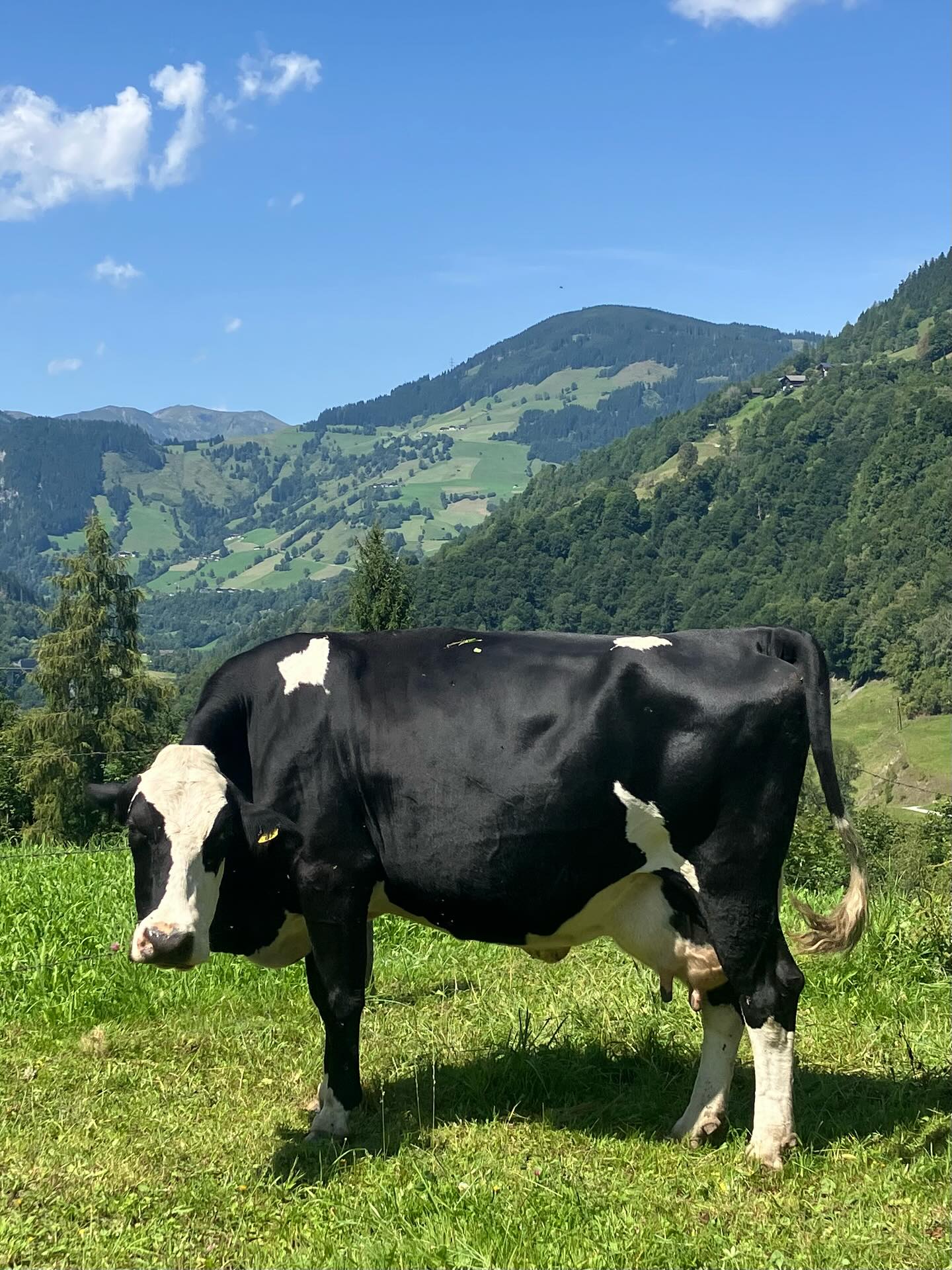 Dag 120 - 18548822263020103.jpg