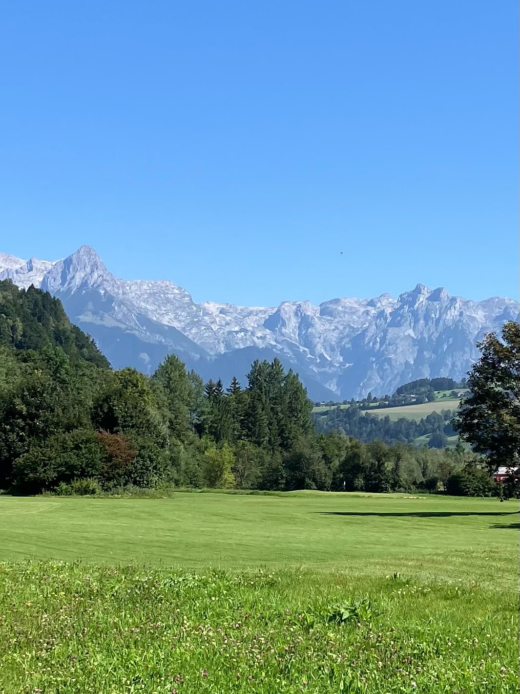 Dag 121 - 18047727299634801.jpg