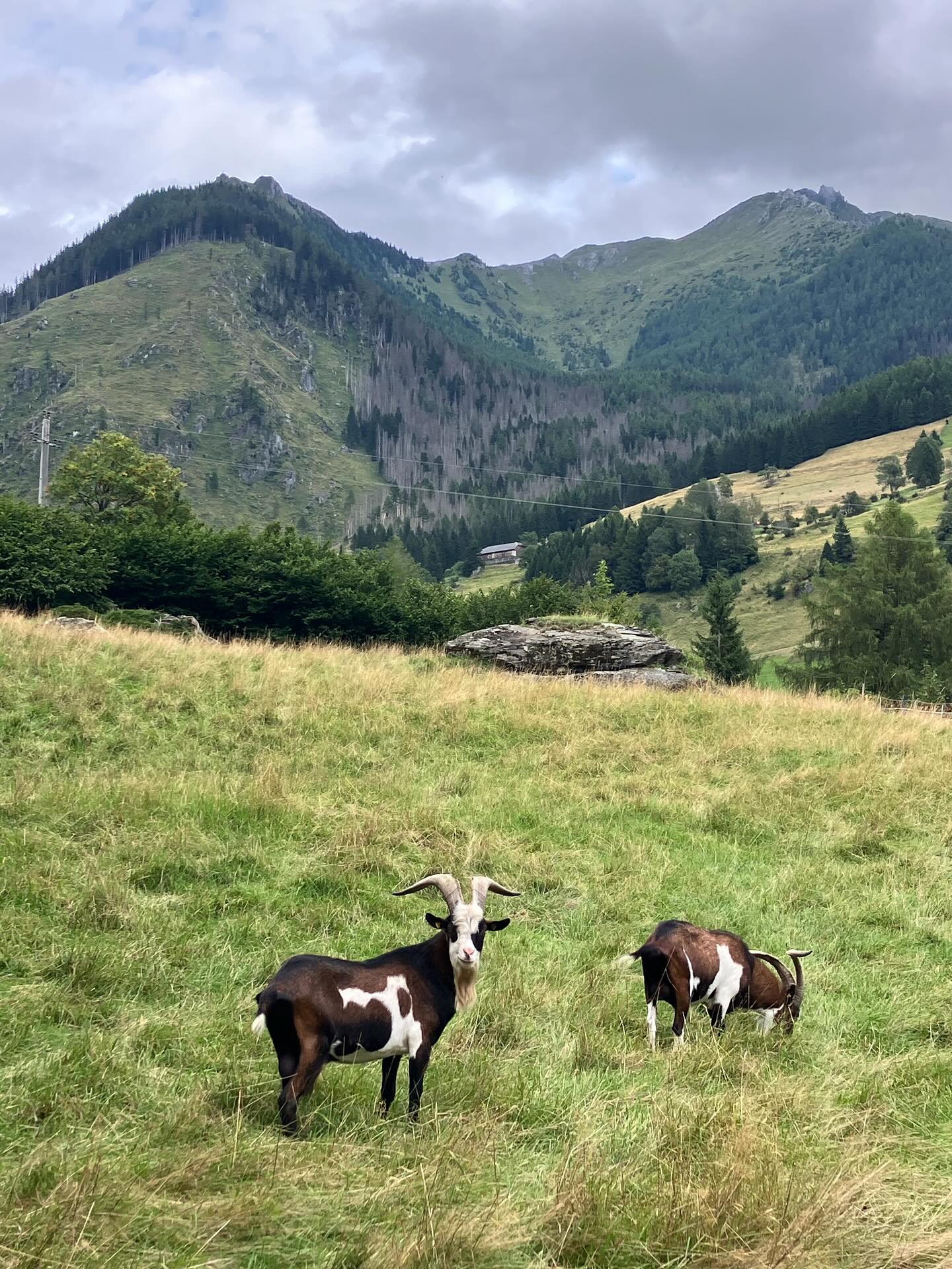 Dag 121 - 18078196009746516.jpg