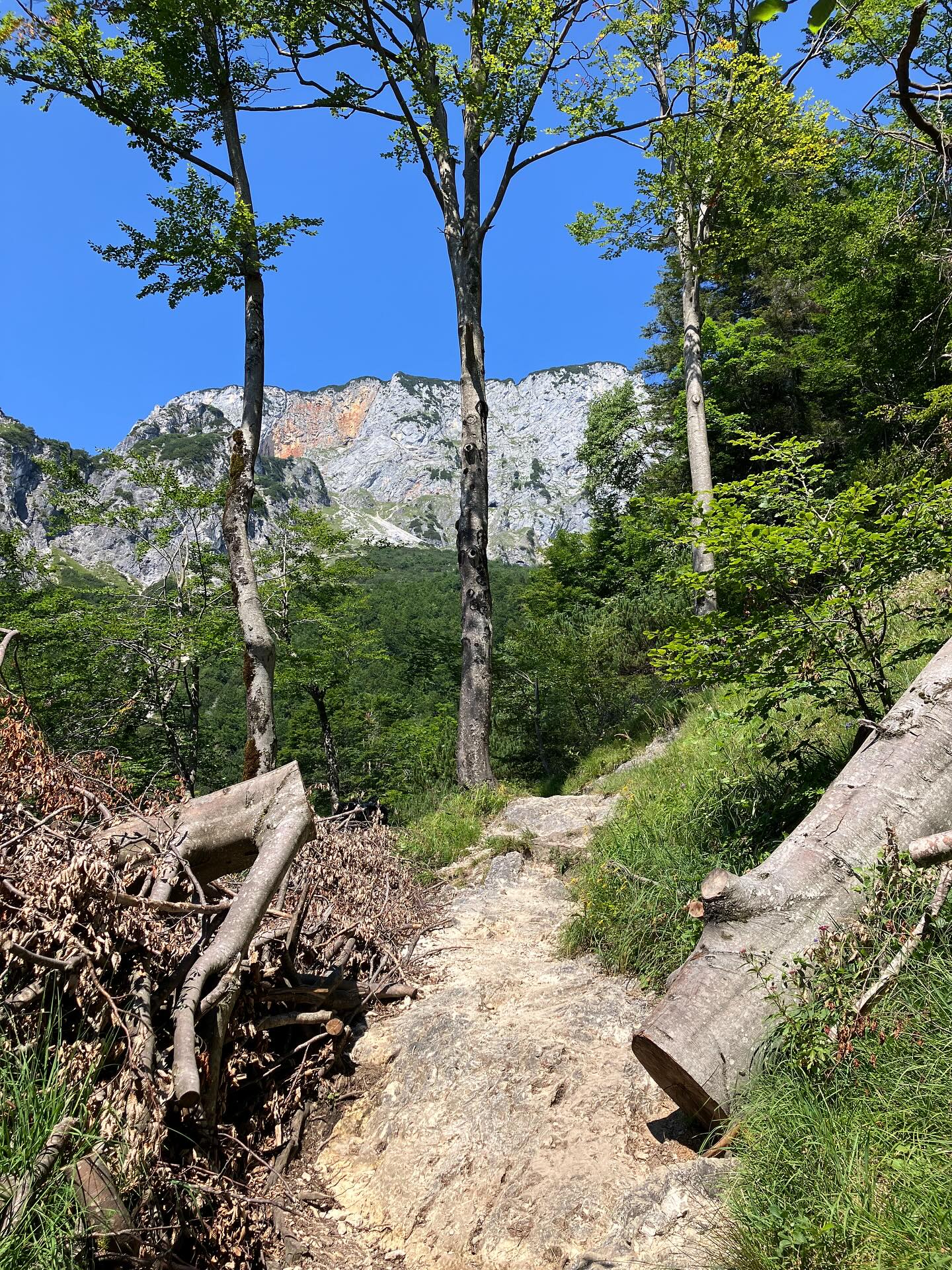 Dag 122 - 18080639377899246.jpg