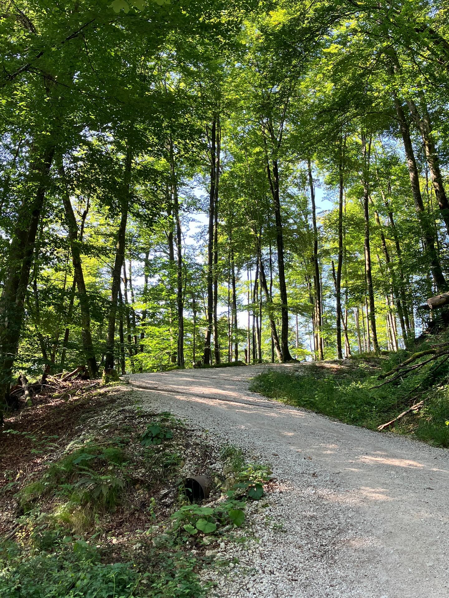 Dag 122 - 18083135926846288.jpg