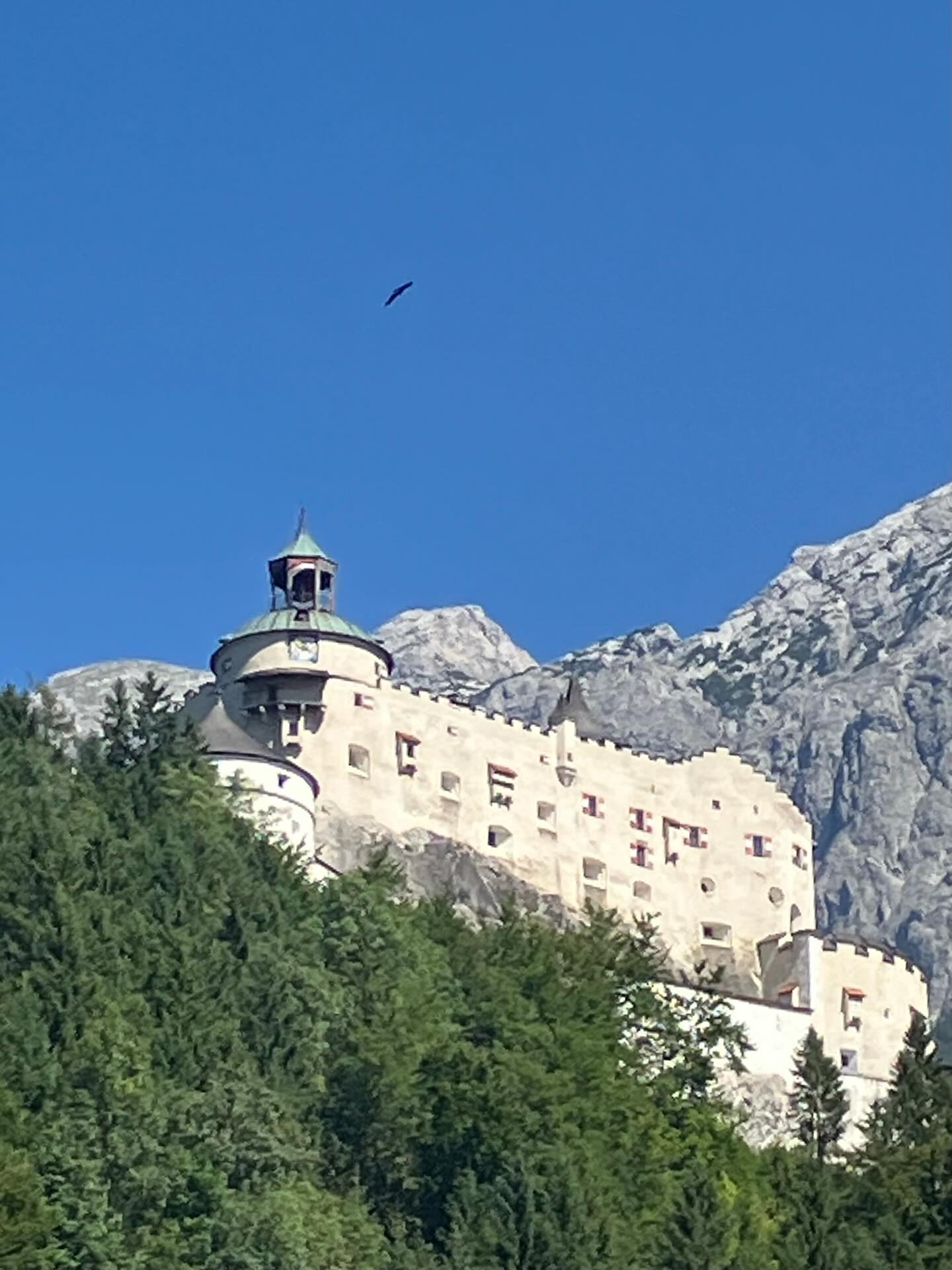 Dag 123 - 18045251072639872.jpg