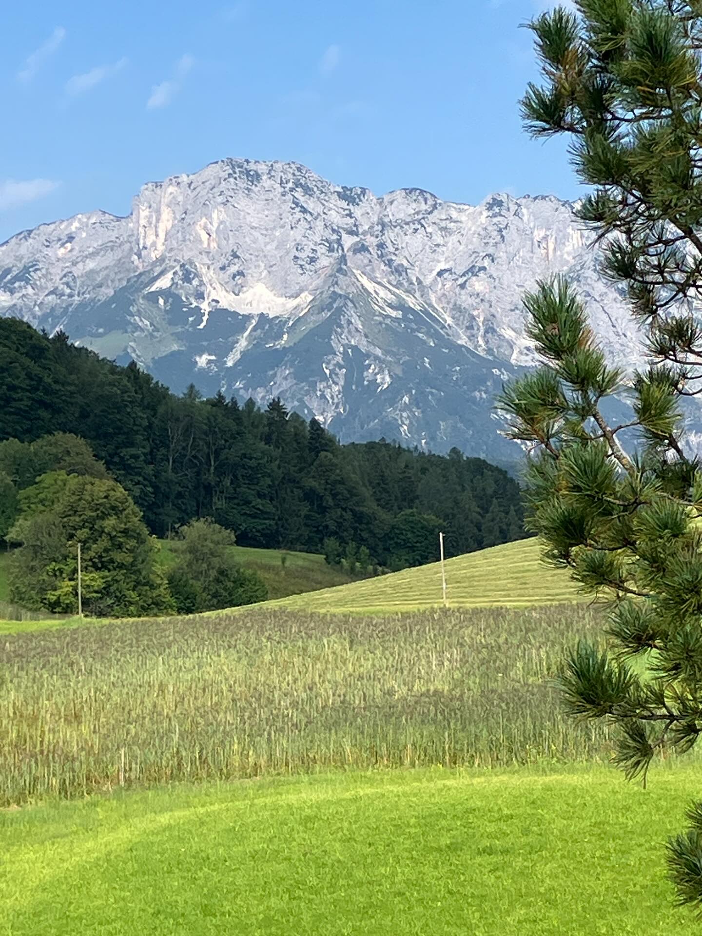 Dag 123 - 18365393998145553.jpg