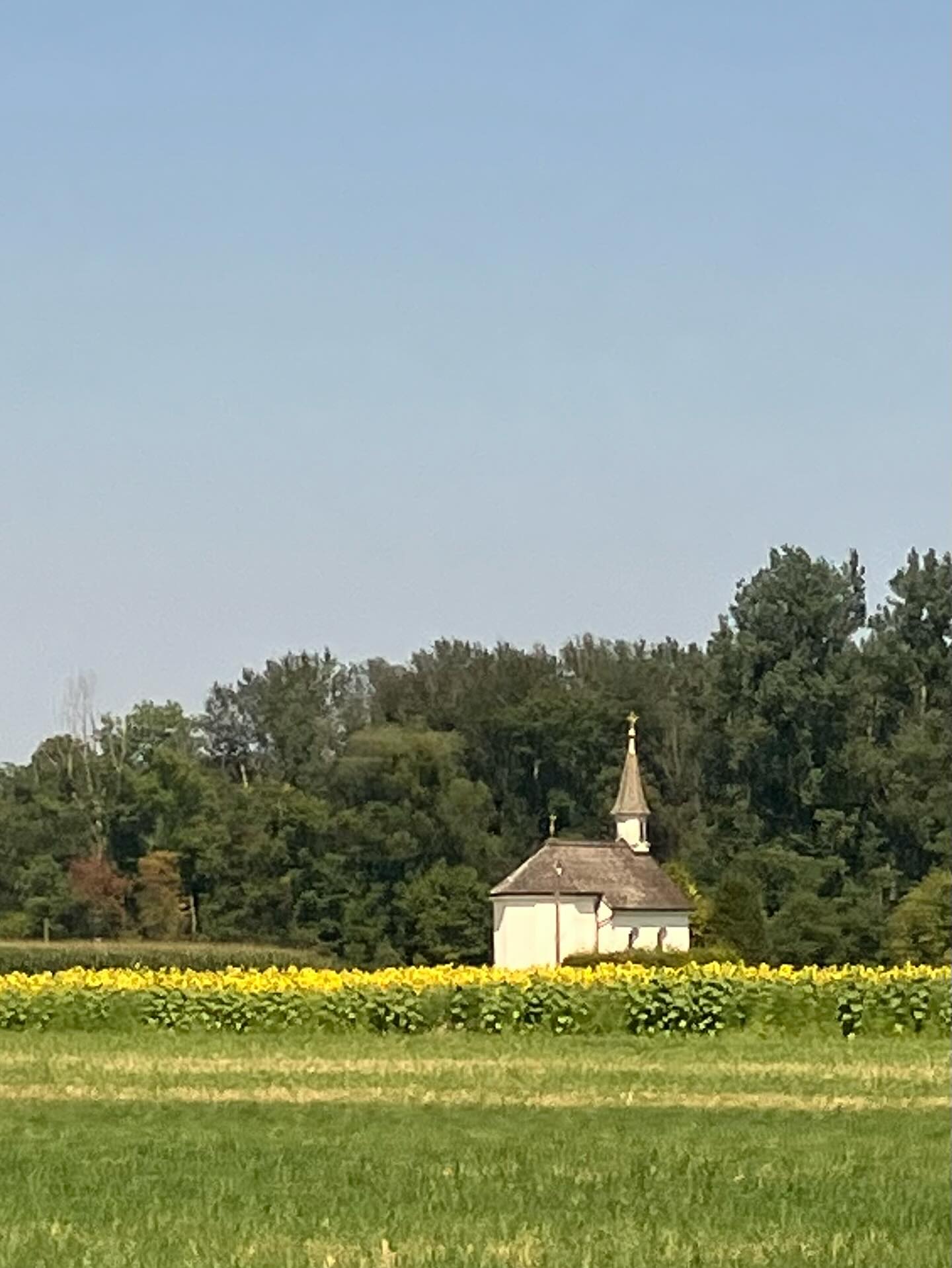 Dag 124 - 17867528160426452.jpg