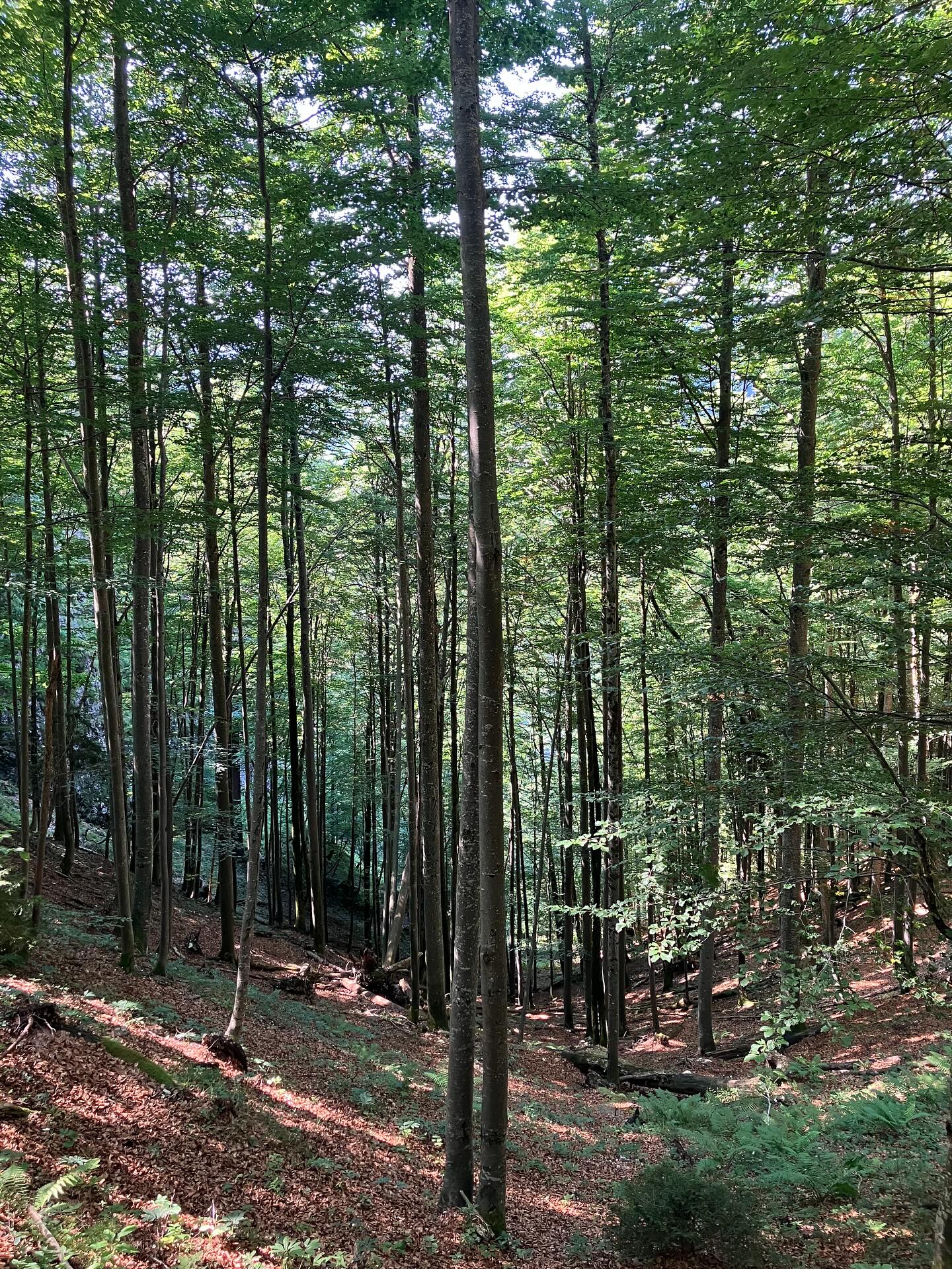 Dag 124 - 18089132326688152.jpg